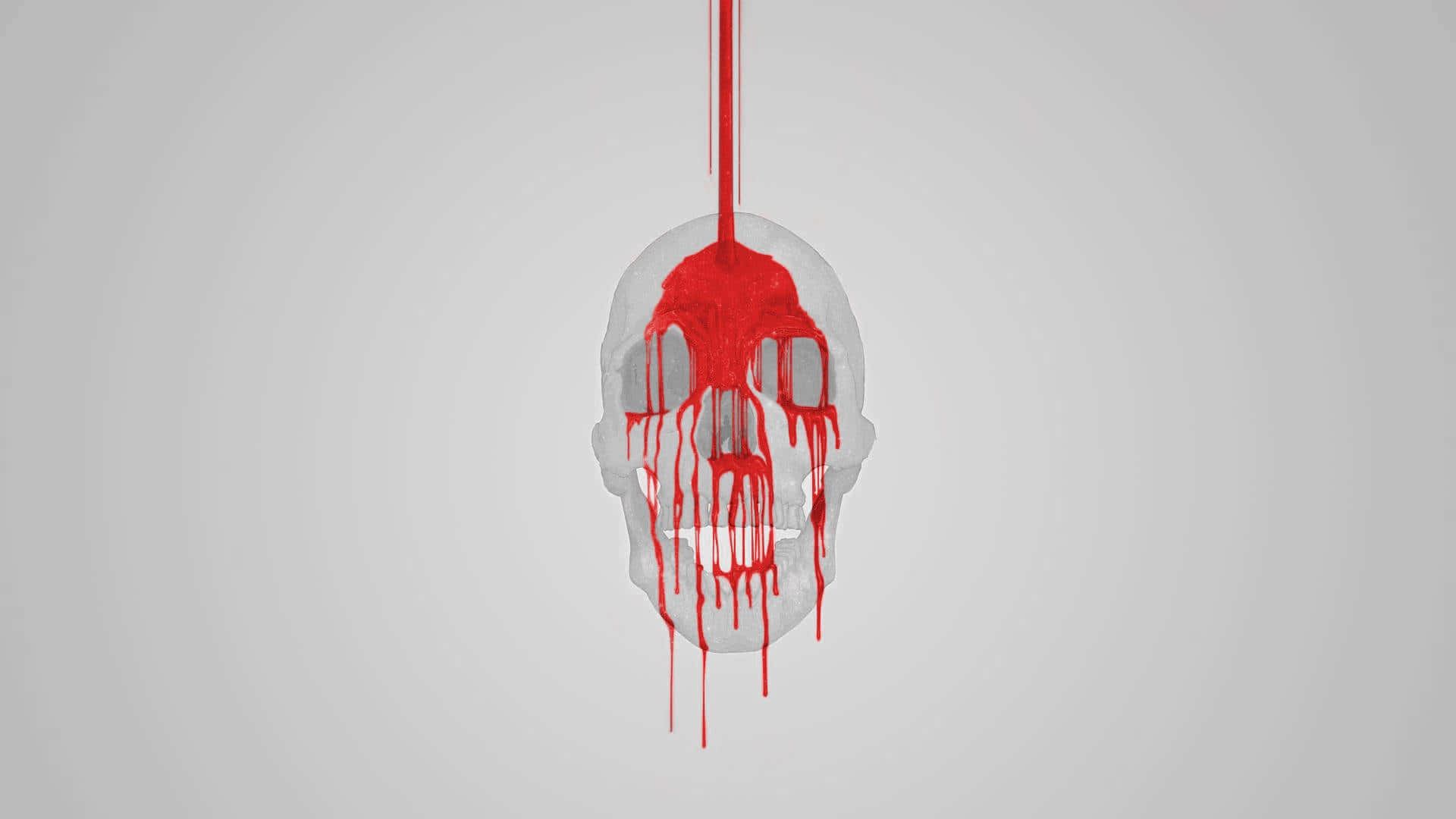 skulls 桌布 壁紙 — 一個半透明的頭骨在純灰色背景上滴落鮮紅色的液體。