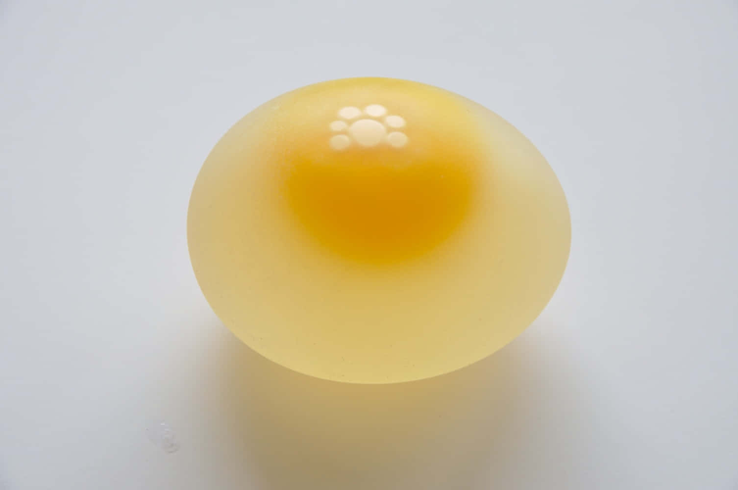 Egg 桌布 壁紙 — 一個半透明的黃色蛋黃，表面有光澤，帶有白色斑點，位於純白色背景中央。