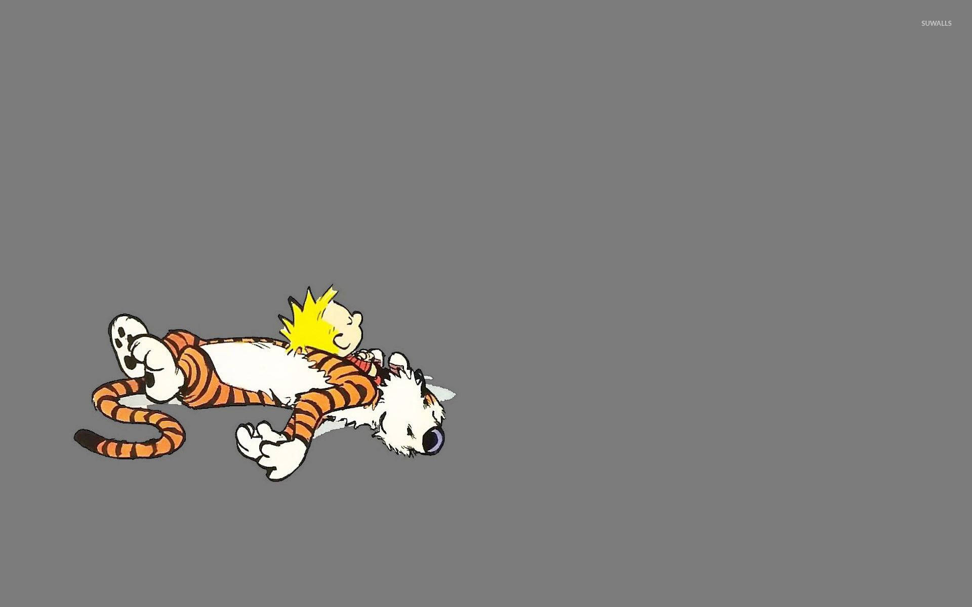 Hobbes 桌布 壁紙 — 一個卡通男孩，黃色尖刺頭髮，在條紋老虎上安睡，背景為純灰色。
