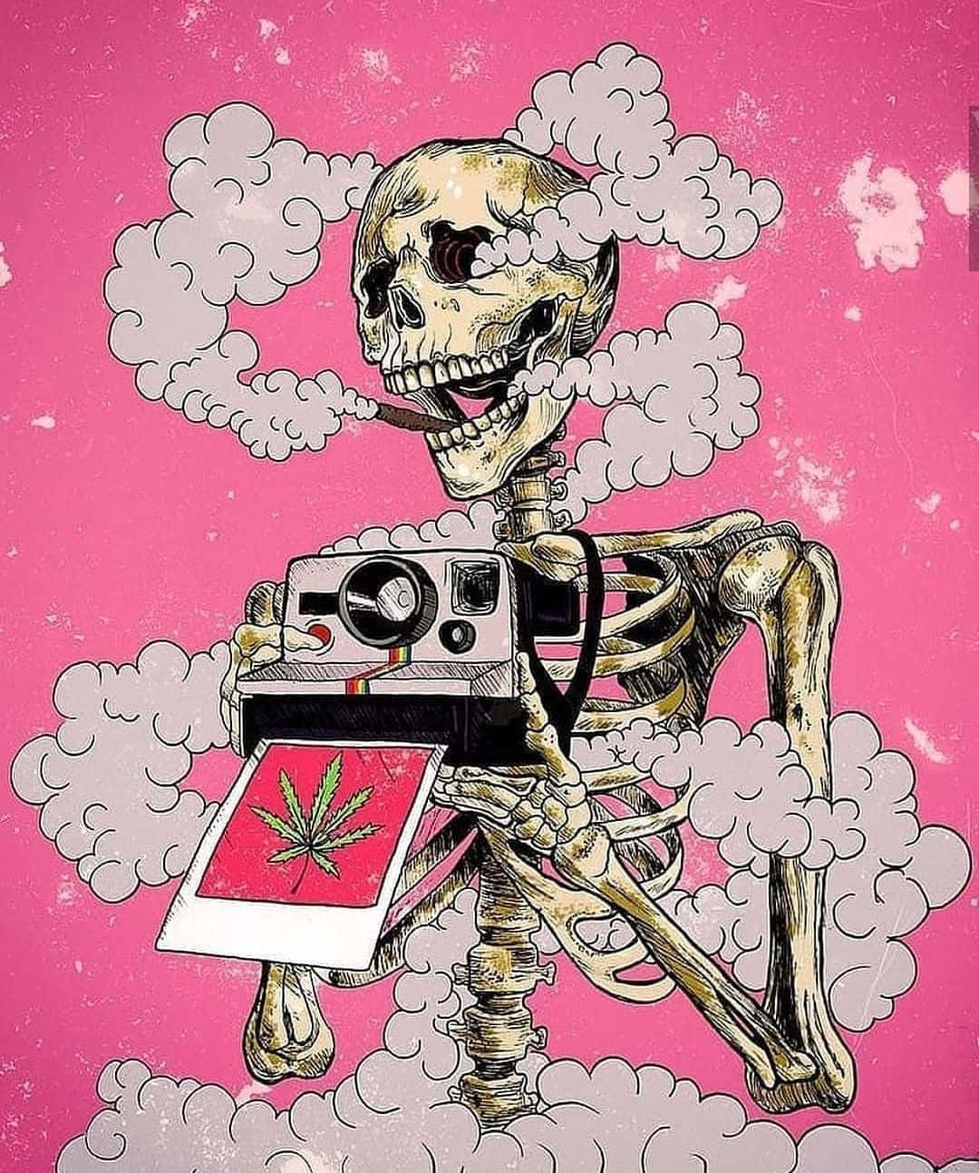 Cute Stoner 桌布 壁紙 — 一個卡通骷髏抽著雪茄，同時拿著一個顯示大麻葉的拍立得相機，背景是充滿活力的粉紅色。