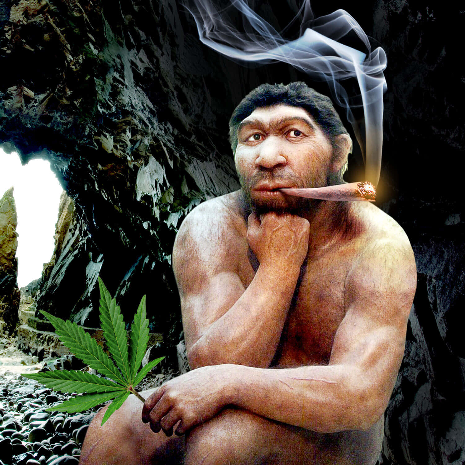caveman 桌布 壁紙 — 一個原始人坐在岩石洞穴中，手持大麻葉，同時抽著點燃的雪茄，煙霧向上繚繞。