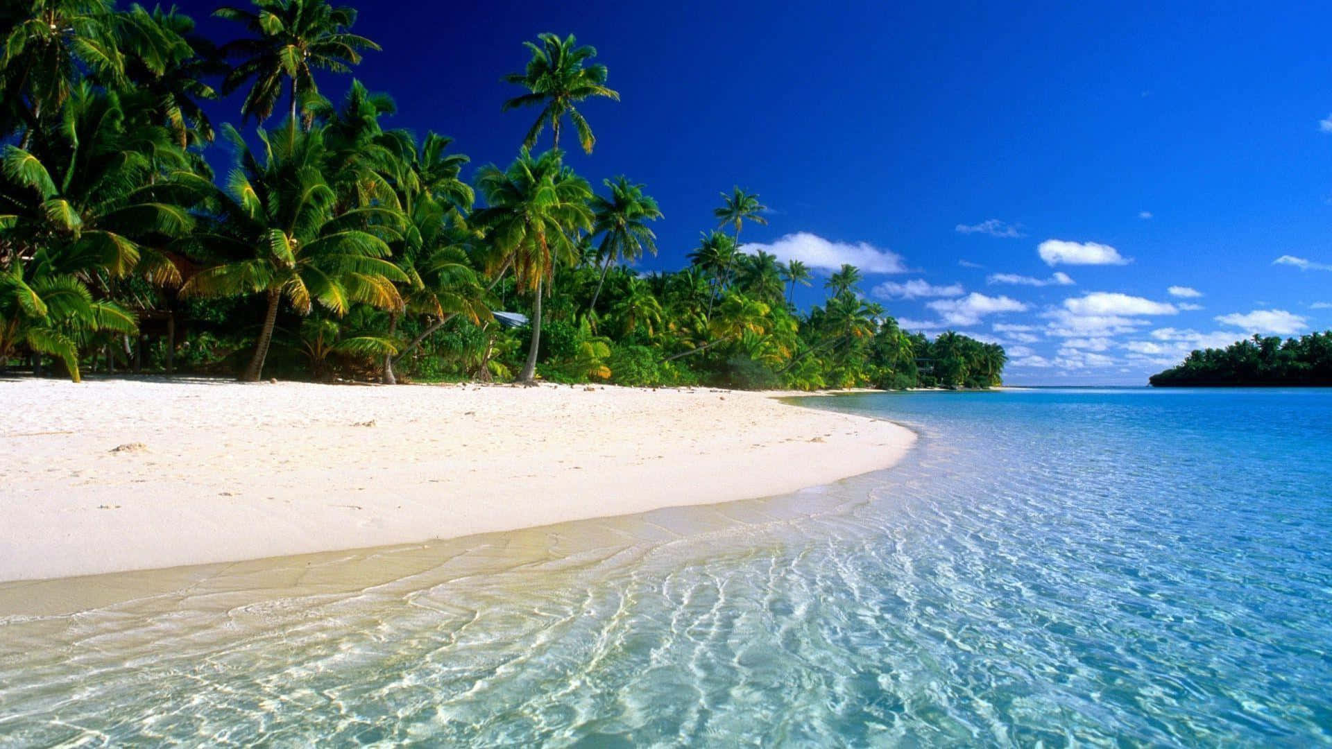 Beautiful Beach 桌布 壁紙 — 一個原始熱帶海灘，擁有白色沙灘、碧綠海水和茂密的棕櫚樹，在明亮的藍天下。