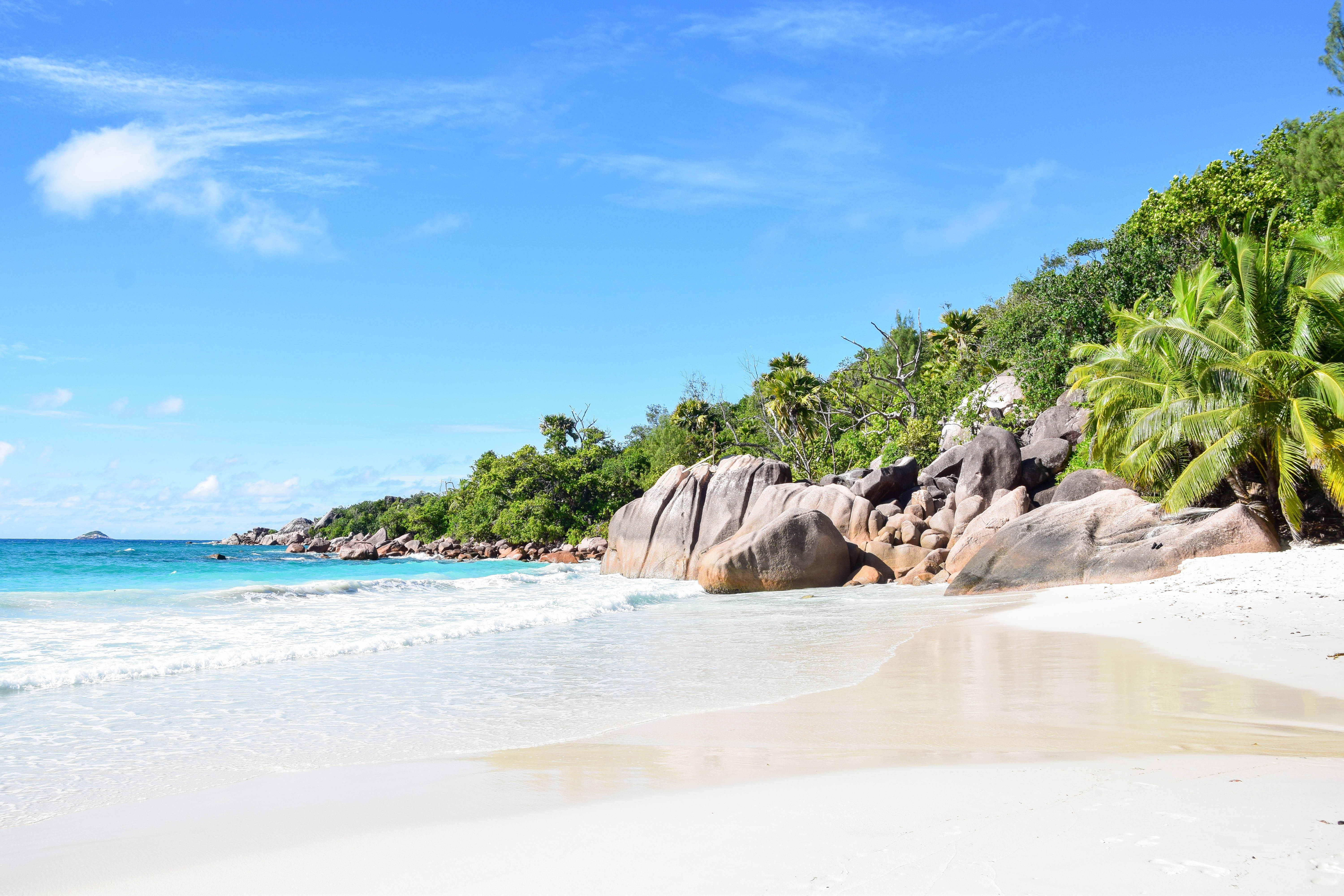 Beach Scene 桌布 壁紙 — 一個原始熱帶海灘，擁有碧綠的海水、溫柔的海浪、白色的沙灘和茂密的綠色棕櫚樹，在明亮的藍天下。