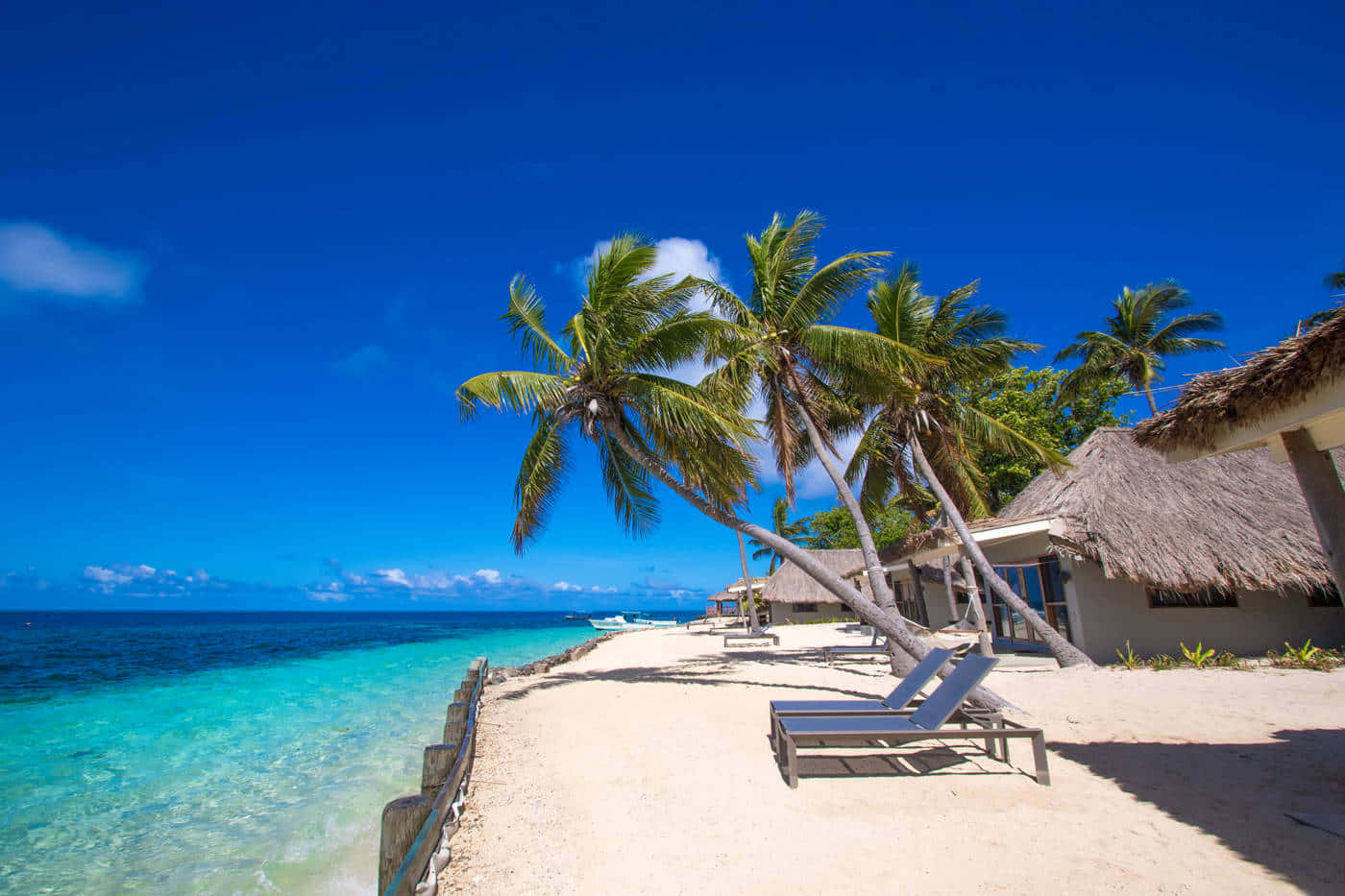 Fiji Beach 桌布 壁紙 — 一個原始熱帶海灘，有碧綠海水、棕櫚樹和茅草屋頂小屋，在充滿活力的藍天下。