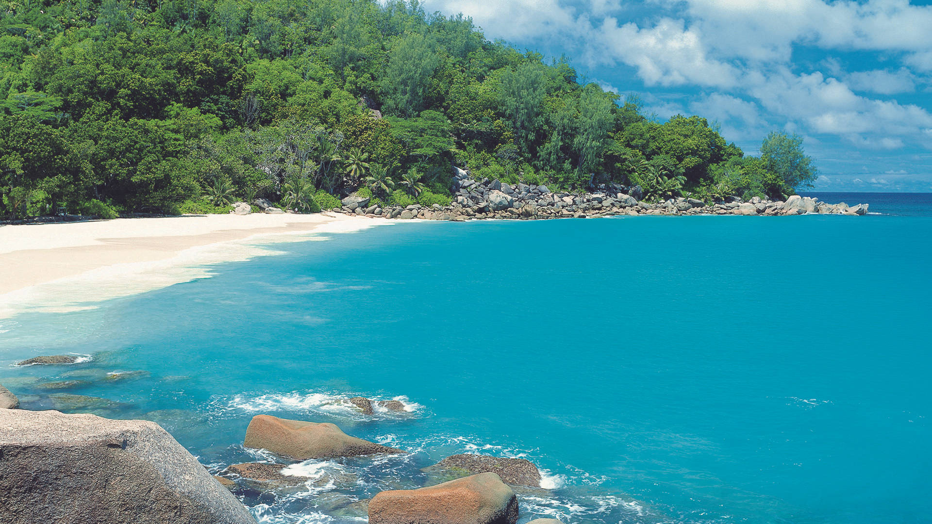 Mauritius 桌布 壁紙 — 一個原始熱帶海灘，碧綠的海水拍打著白色沙灘和茂密的綠色叢林懸崖，在明亮的藍天下。