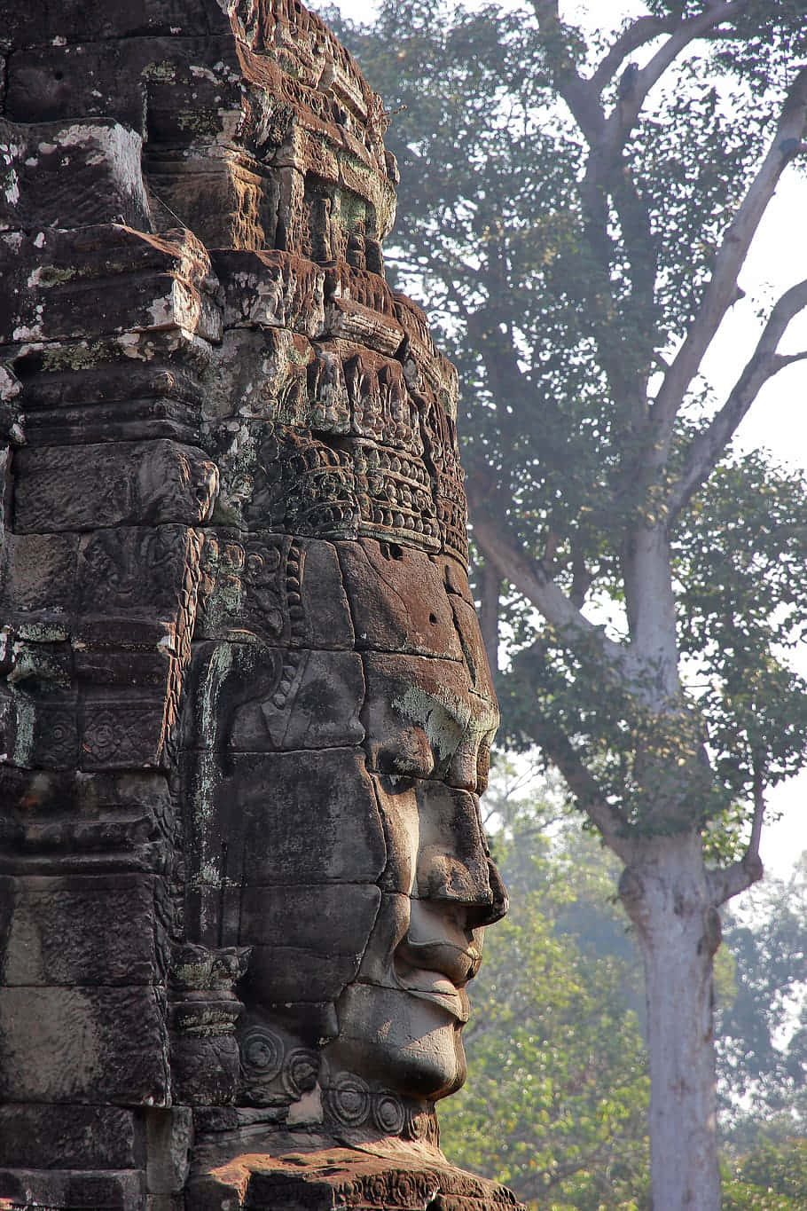 Cambodia 桌布 壁紙 — 一個古老寺廟的風化石頭面孔，雕刻在長滿苔蘚的懸崖上，背景是茂密的綠色樹木。