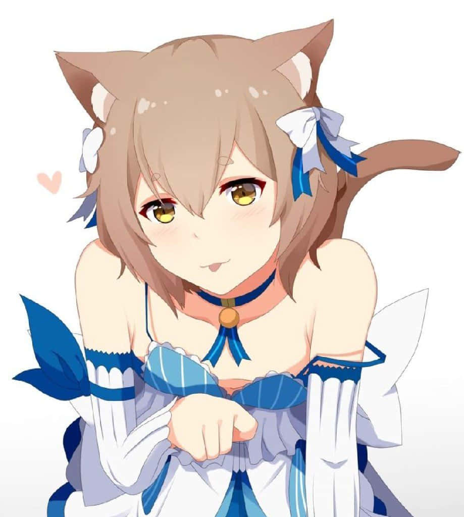 Felix Argyle 桌布 壁紙 — 一個可愛的動漫女孩，擁有棕色的貓耳和尾巴，穿著藍白相間的連衣裙，溫柔地微笑著向前看。
