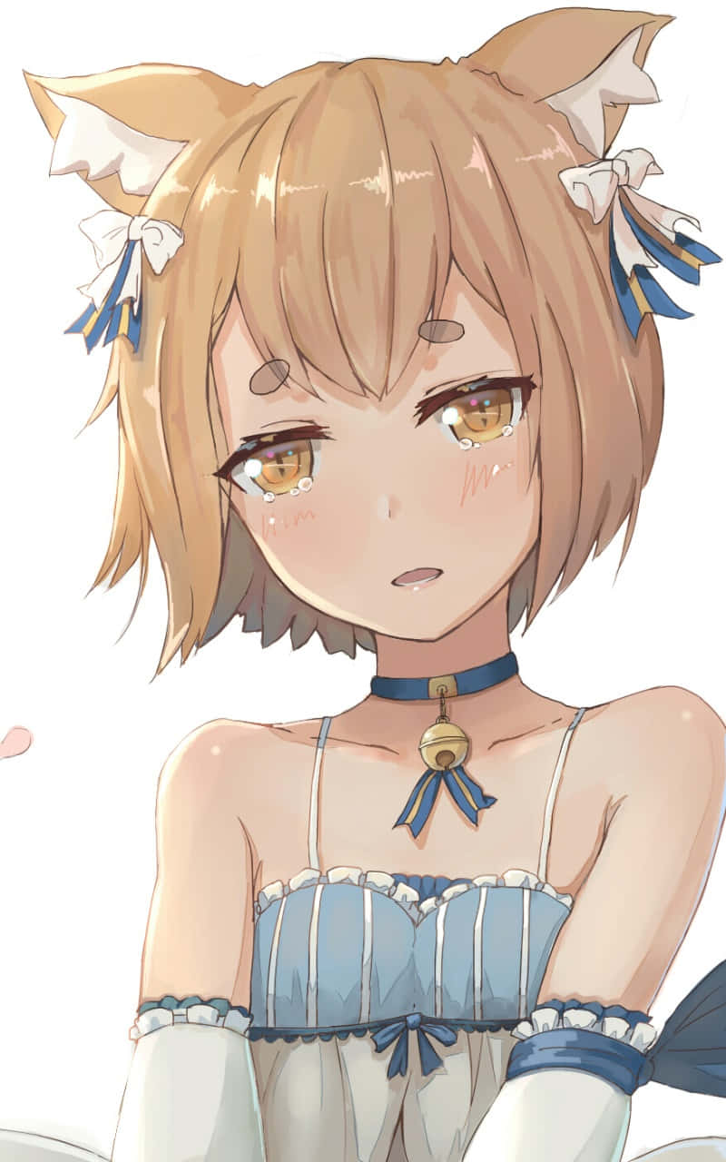 Felix Argyle 桌布 壁紙 — 一個可愛的動漫女孩，有狐狸耳朵和藍色絲帶飾品，穿著帶鈴鐺項圈的荷葉邊藍白連衣裙。