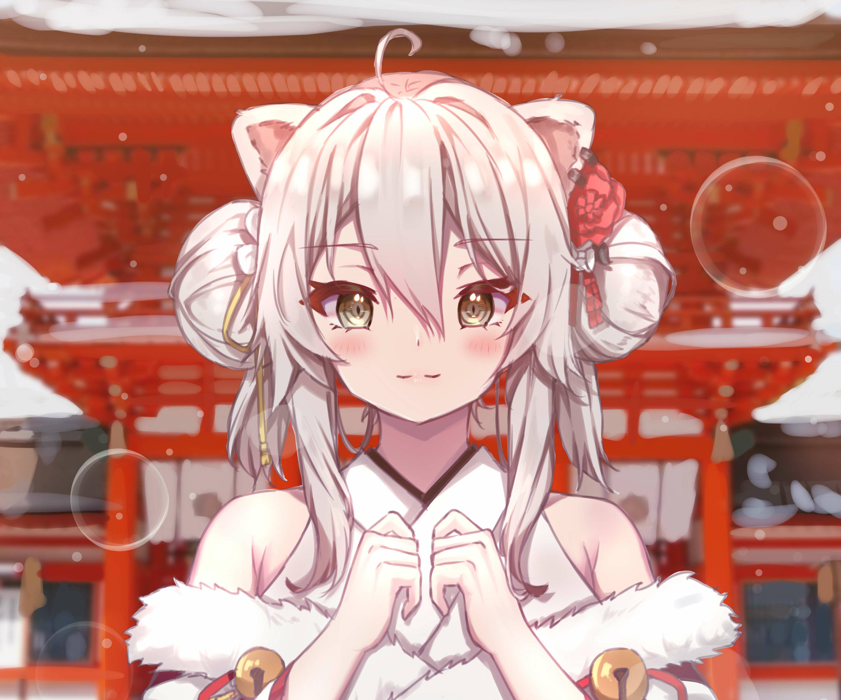 動漫女孩 桌布 壁紙 — 一個可愛的動漫女孩，有貓耳和白髮，站在雪覆蓋的紅色神社前，雙手合十成心形。
