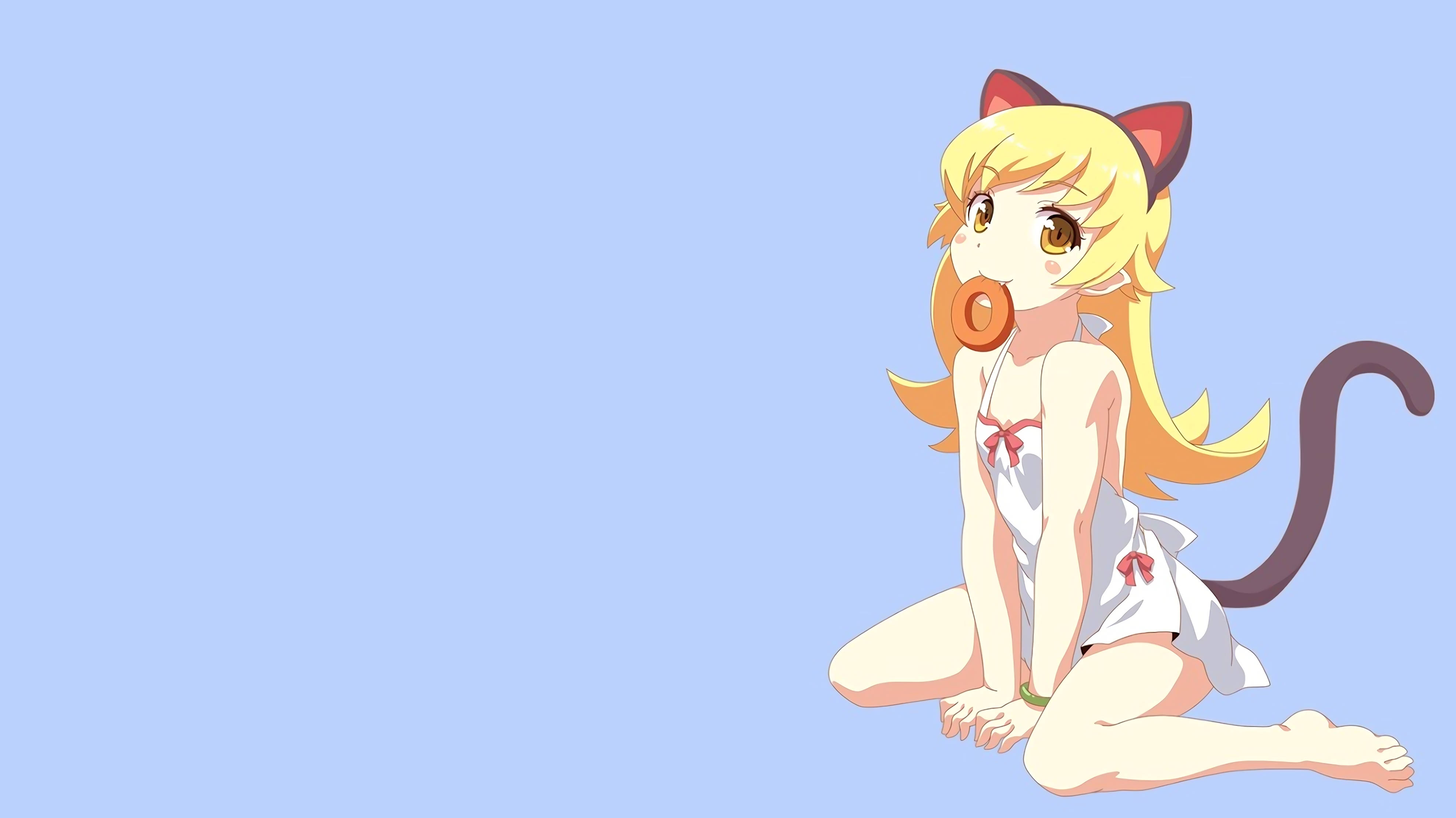 Monogatari 桌布 壁紙 — 一個可愛的動漫女孩，有貓耳朵和尾巴，坐在純藍色背景上，拿著一個甜甜圈。