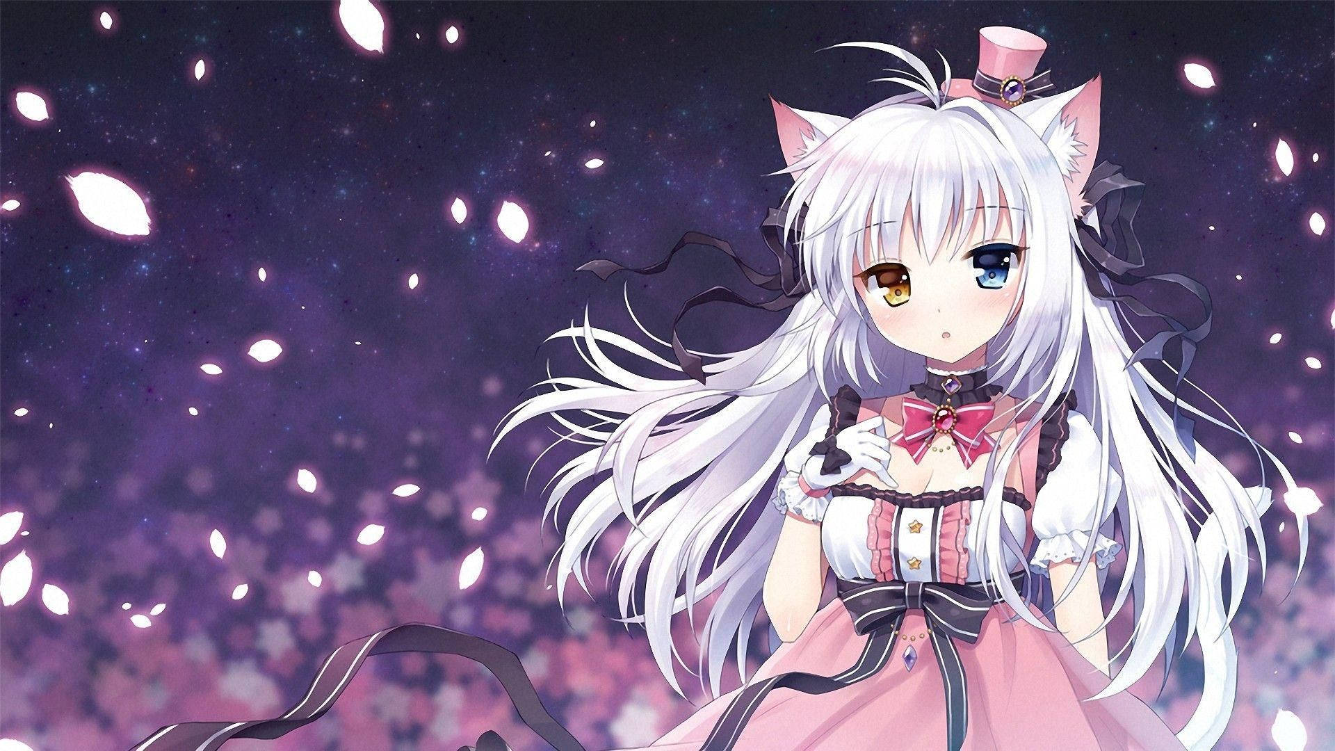 neko 桌布 壁紙 — 一個可愛的動漫女孩，白色頭髮和貓耳，穿著粉紅色連衣裙，背景是繁星點點的紫色天空和飄落的櫻花。