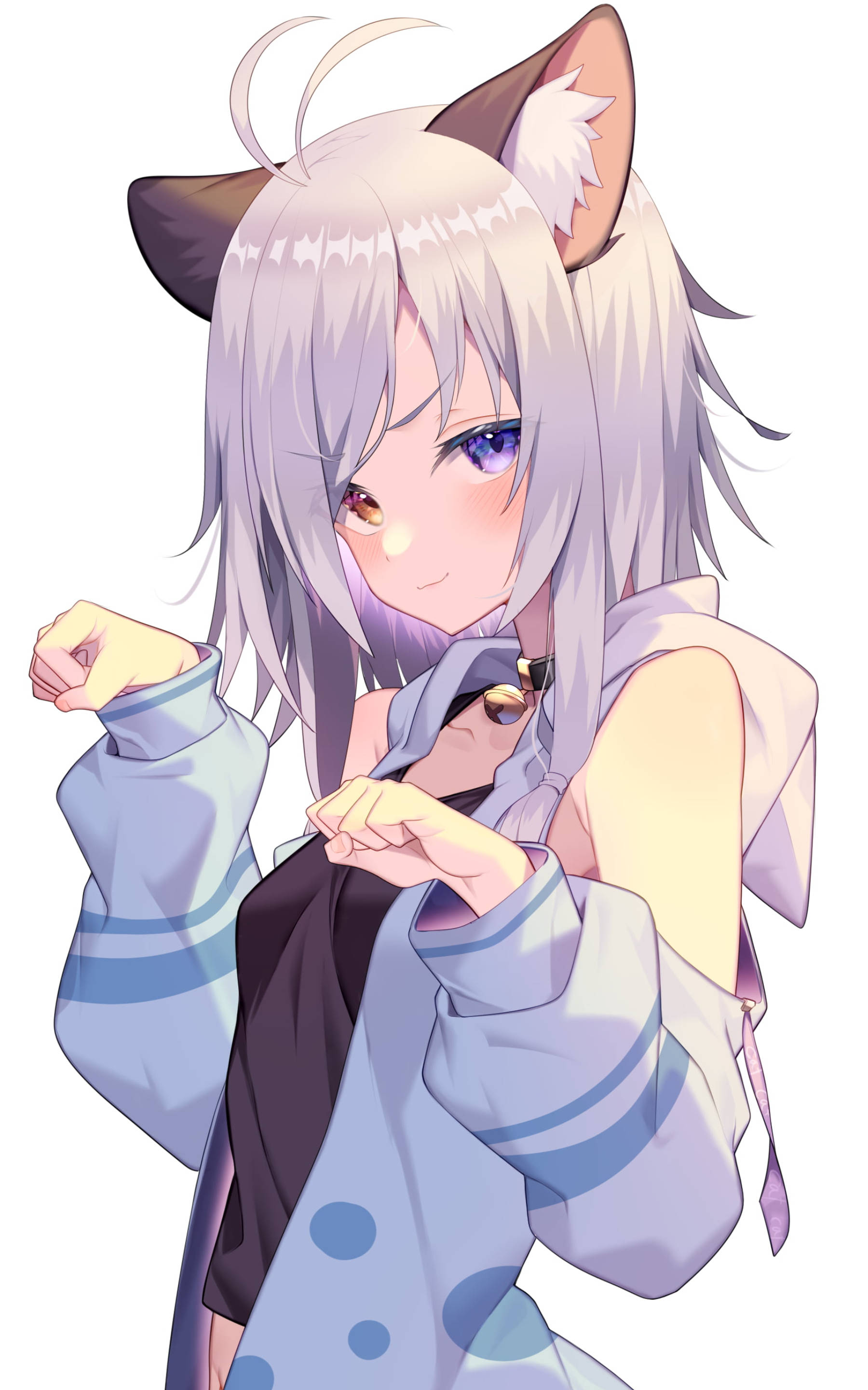 Ecchi 桌布 壁紙 — 一個可愛的動漫女孩，銀色頭髮和貓耳朵，微笑著調整她的藍色圓點連帽衫。