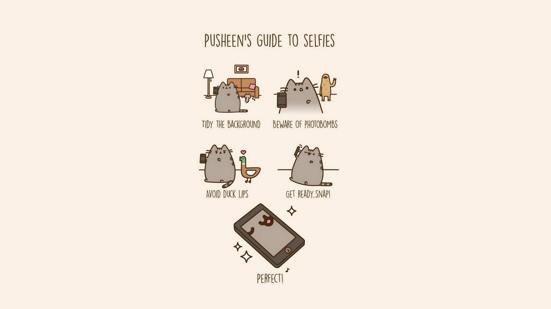 貓迷因 桌布 壁紙 — 一個可愛的插圖指南，展示 Pusheen 貓咪自拍，附有提示如整潔背景和小心 photobomb。