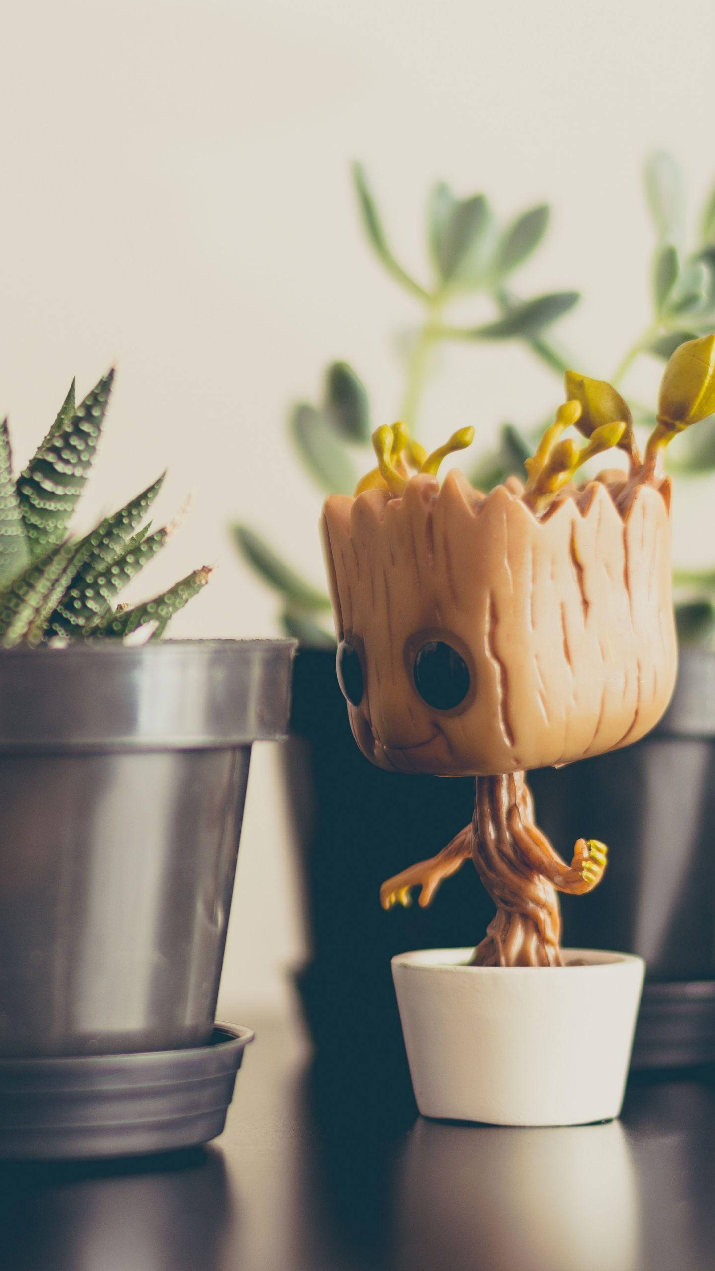 Baby Groot 桌布 壁紙 — 一個可愛的格魯特公仔放在白色花盆裡，旁邊有一棵多肉植物，放在深色架子上，配以柔和溫暖的燈光。