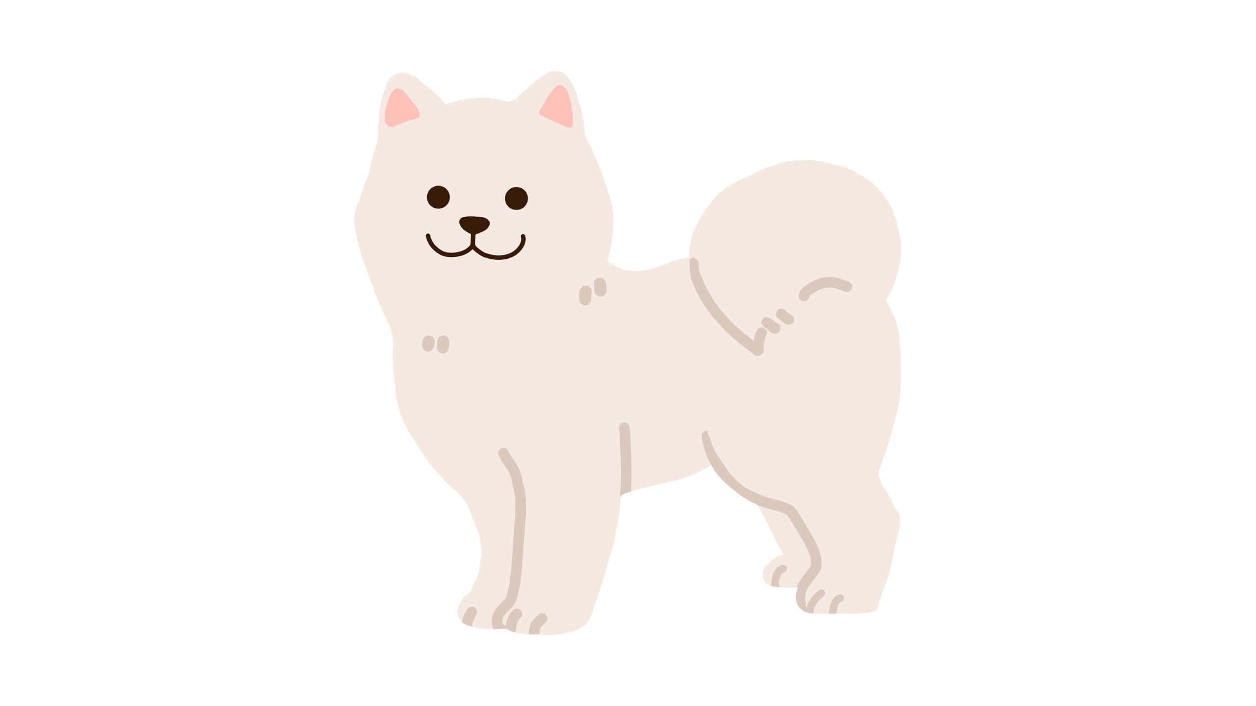 Cute White 桌布 壁紙 — 一個可愛的極簡插圖，描繪一隻 fluffy 白色狗，有粉紅色耳朵和快樂的笑容，站在純白色背景前。
