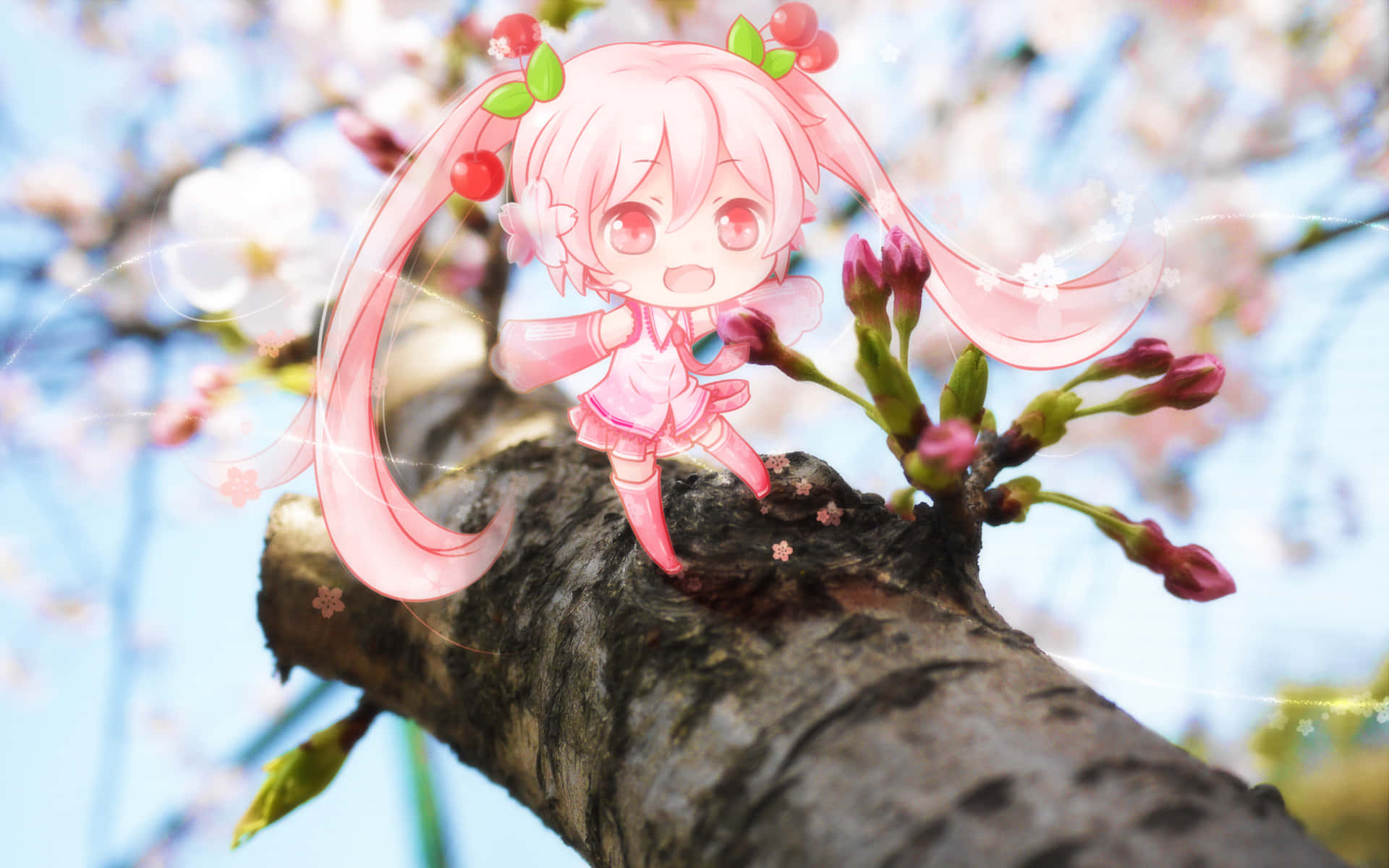 Sakura Miku 桌布 壁紙 — 一個可愛的粉紅色頭髮動漫女孩，戴著櫻花飾品，坐在盛開花朵中的樹枝上。