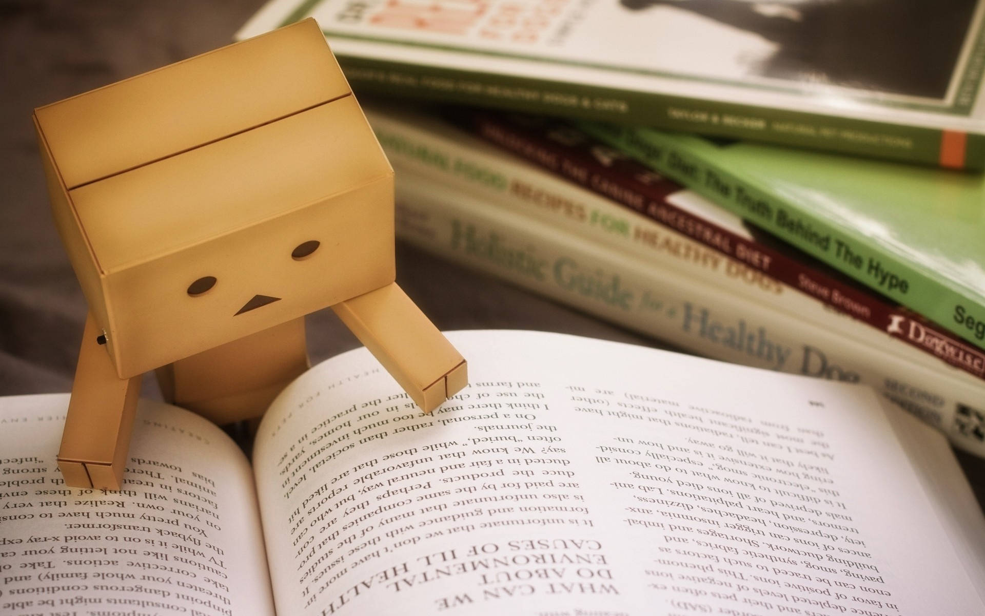 Reading 桌布 壁紙 — 一個可愛的紙板機器人坐在一本打開的書上，周圍是健康與飲食書籍。