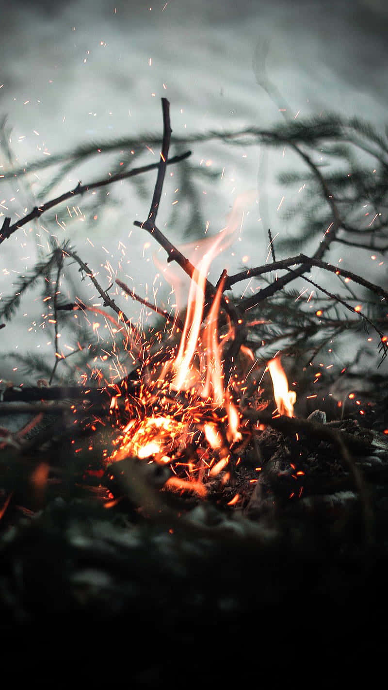 Camping 桌布 壁紙 — 一個咆哮的營火在黑暗、霧氣瀰漫的森林背景下劈啪作響，發出明亮的橙色火焰和飛濺的火花。