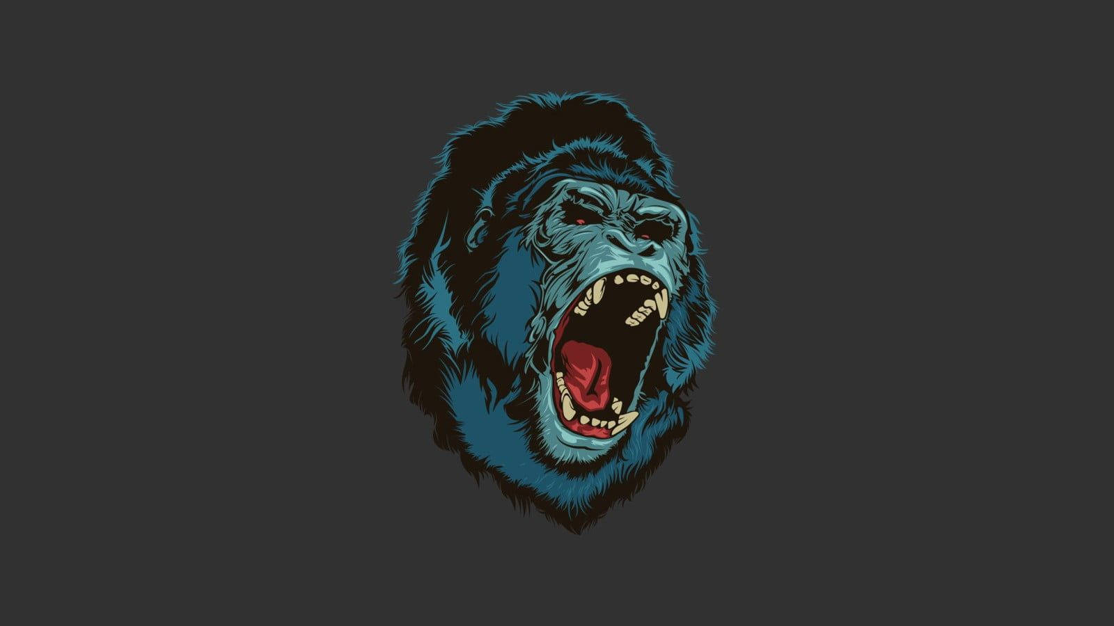 Gorilla 桌布 壁紙 — 一個咆哮的猩猩頭部，藍色和黑色，紅色舌頭，在深灰色背景上。
