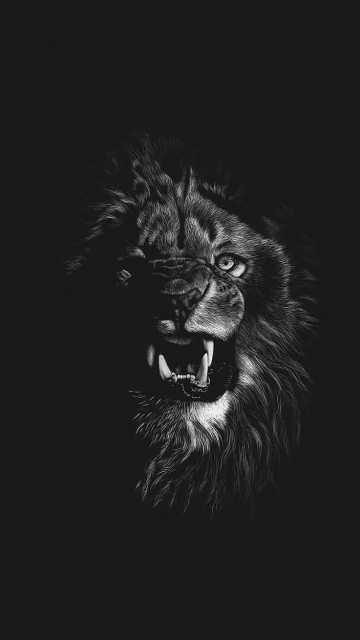 Black And White Lion 桌布 壁紙 — 一個咆哮的獅子頭，單色調，帶有強烈的眼睛和裸露的牙齒，在 stark 黑色背景上。