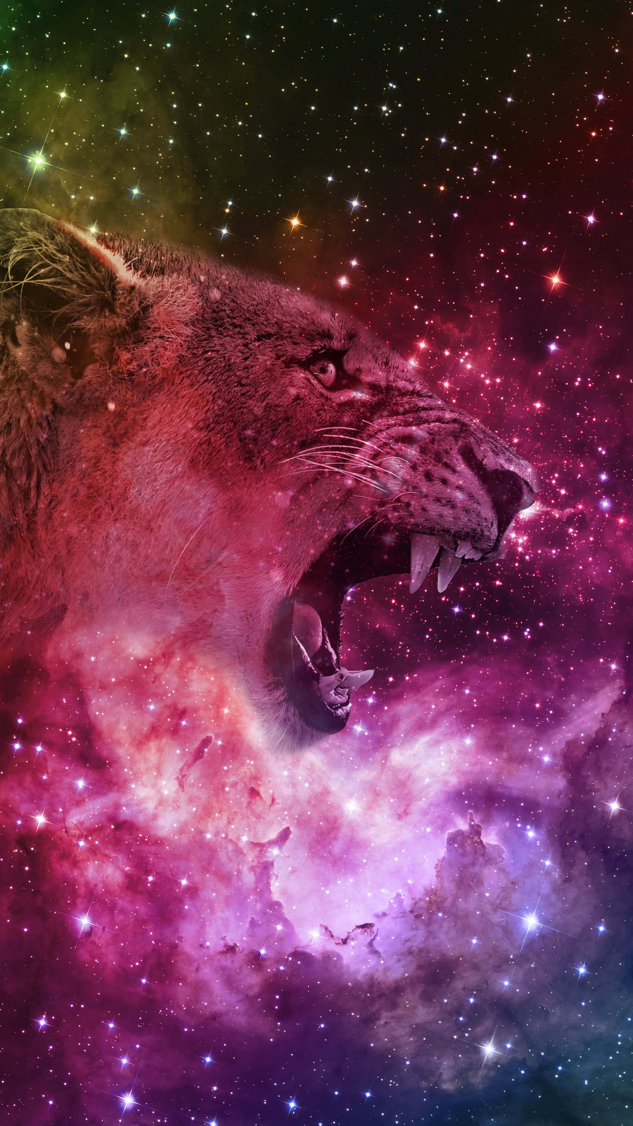 Tiger Galaxy 桌布 壁紙 — 一個咆哮的獅子頭從充滿星星和旋轉的紫色、粉紅色和綠色氣體的充滿活力的宇宙星雲中浮現。
