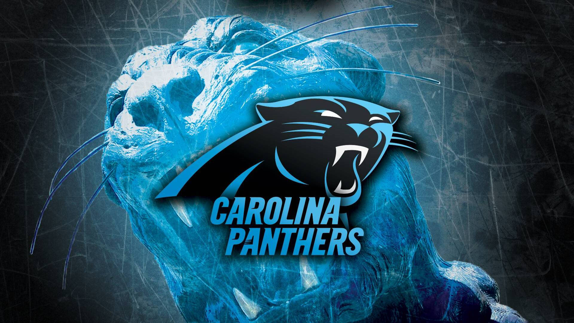 Panthers 桌布 壁紙 — 一個咆哮的藍色黑豹頭部，卡羅萊納黑豹標誌疊加在刮花的深色背景上。