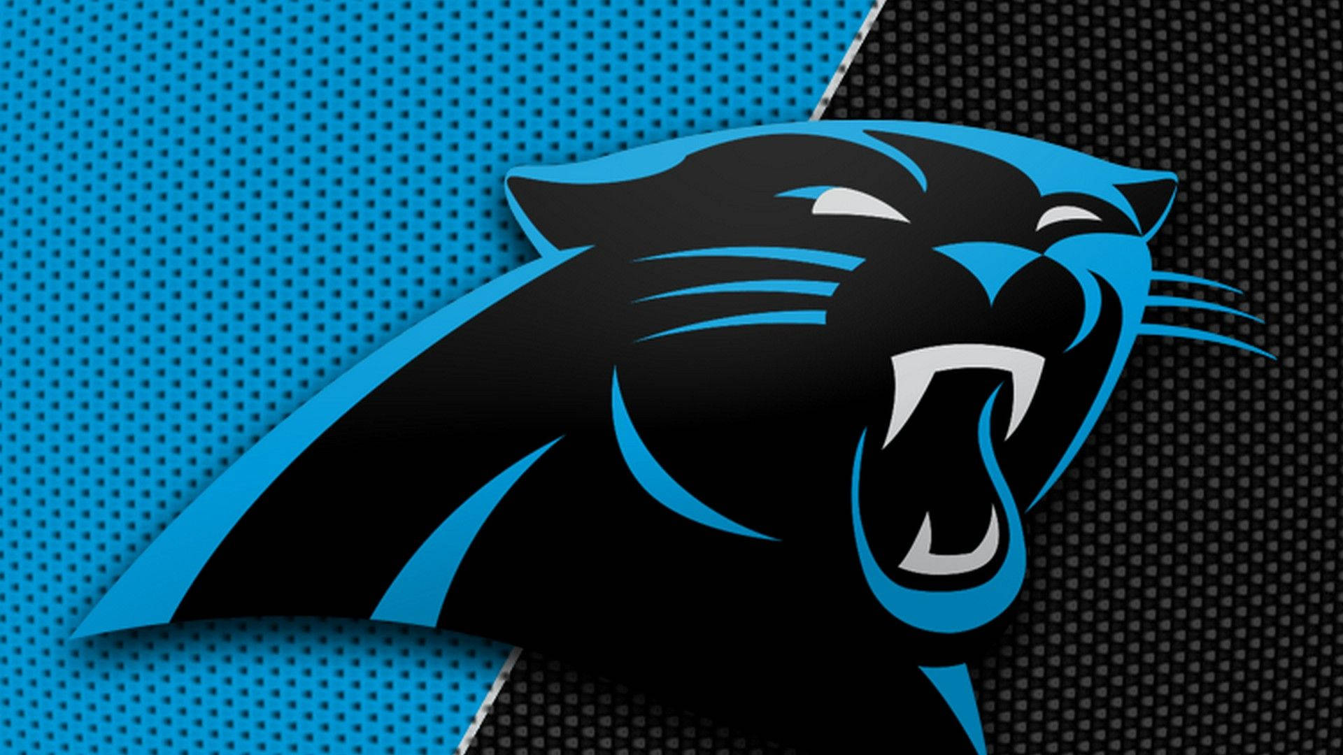 Panthers 桌布 壁紙 — 一個咆哮的黑豹標誌，帶有藍色點綴，置於分裂的藍色和黑色穿孔背景上。