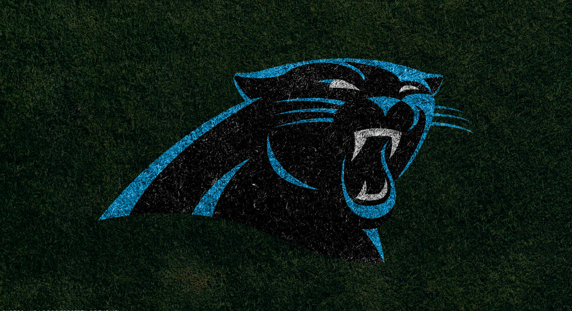 Panthers 桌布 壁紙 — 一個咆哮的黑豹標誌帶有藍色點綴，在深色紋理綠色背景上脫穎而出。