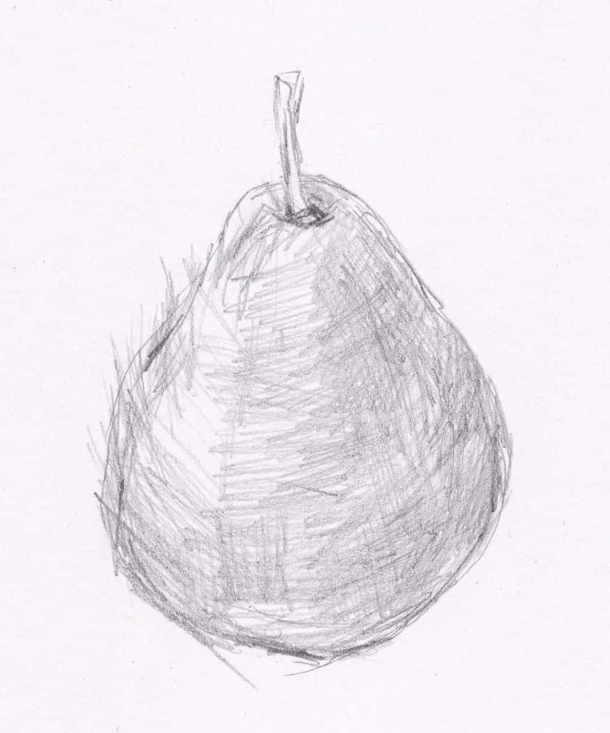 sketch 桌布 壁紙 — 一個單一梨子的詳細鉛筆素描，帶有紋理陰影和短莖，畫在普通白紙上。