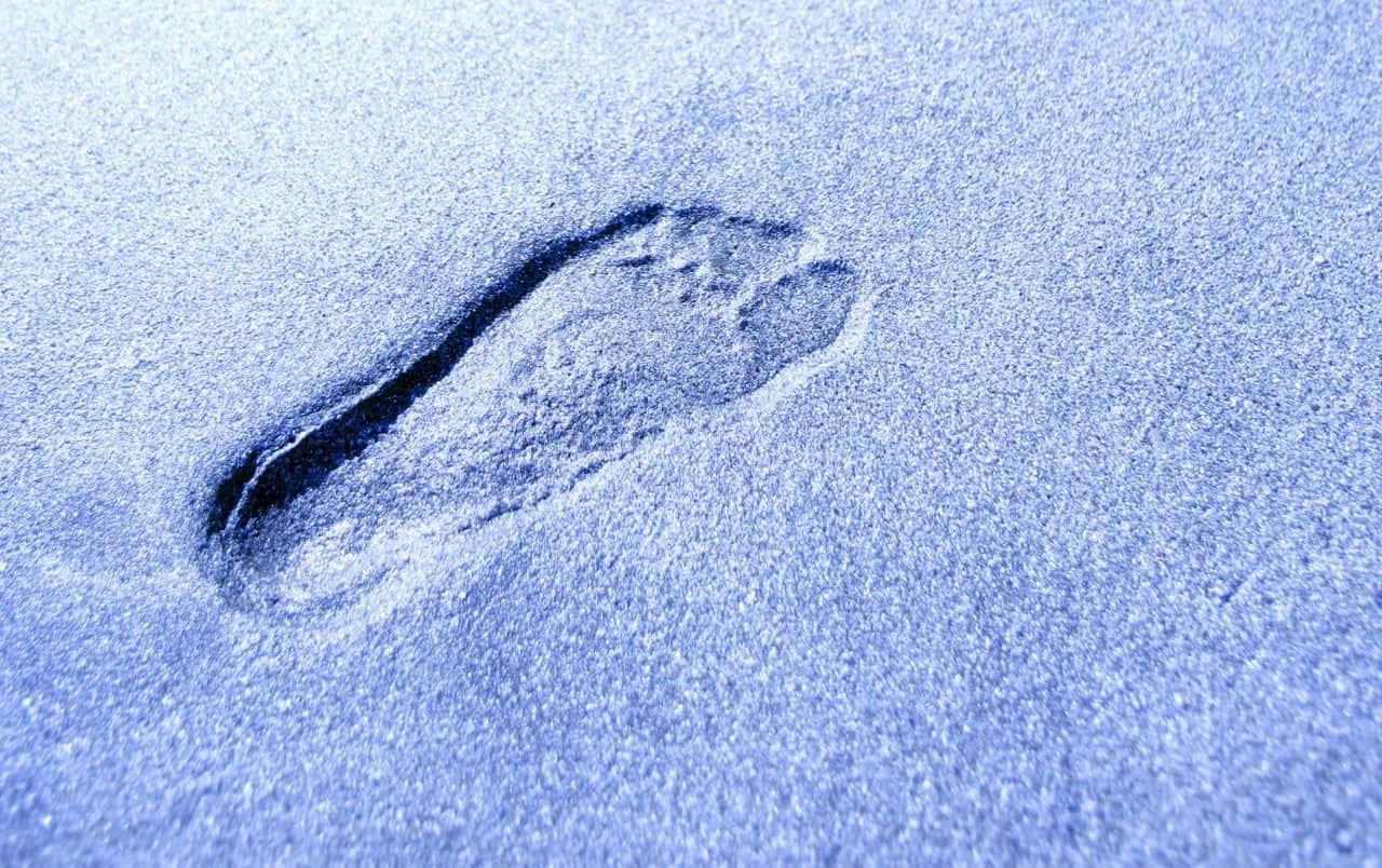 feet 桌布 壁紙 — 一個單一的人類腳印壓在柔軟的藍色雪地上，紋理清晰，陰影細膩。