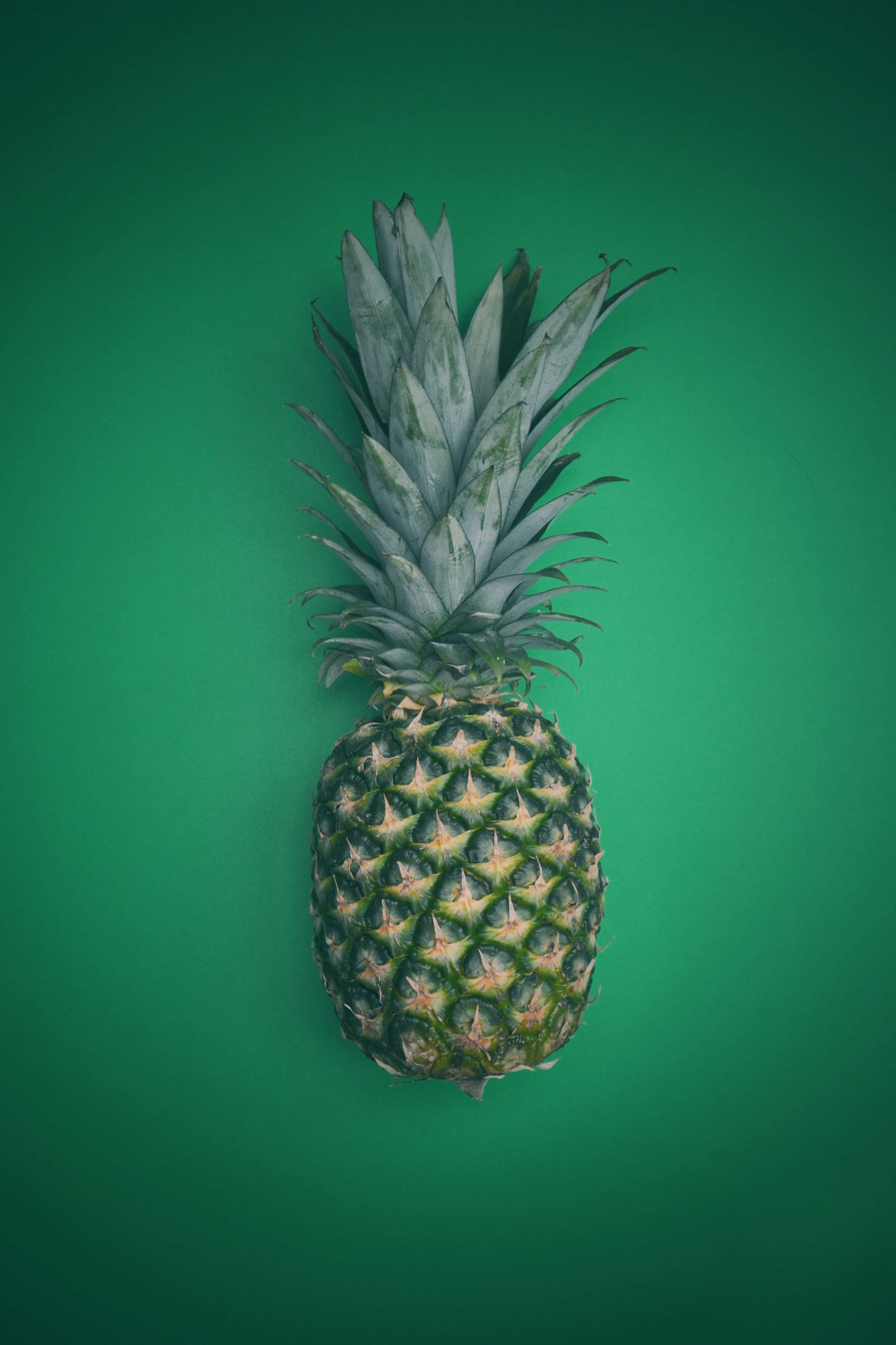 Pineapple 桌布 壁紙 — 一個單一的鳳梨，帶有紋理的綠色外皮和尖刺的冠部，居中在純藍綠色背景上。