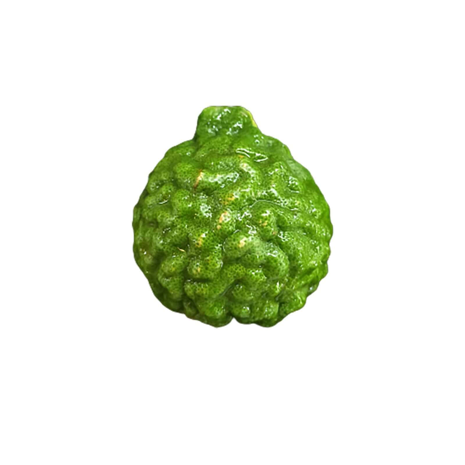 Fruit 桌布 壁紙 — 一個單獨的凹凸不平的綠色萊姆，帶有紋理表皮和微妙的黃色斑點，在白色背景上孤立。