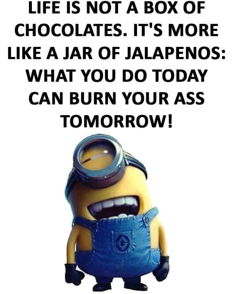 搞笑 桌布 壁紙 — 一個單眼、穿著藍色吊帶褲的Minion角色在粗體黑色文字下方大笑，文字內容是關於人生就像墨西哥辣椒。