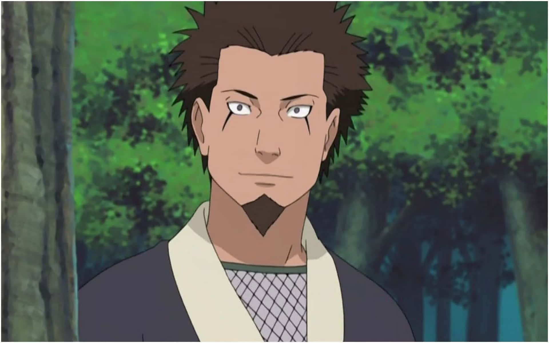 Hiruzen Sarutobi 桌布 壁紙 — 一個嚴肅的動漫男人，有著尖刺的棕色頭髮和山羊鬍，站在茂密的綠色森林中。