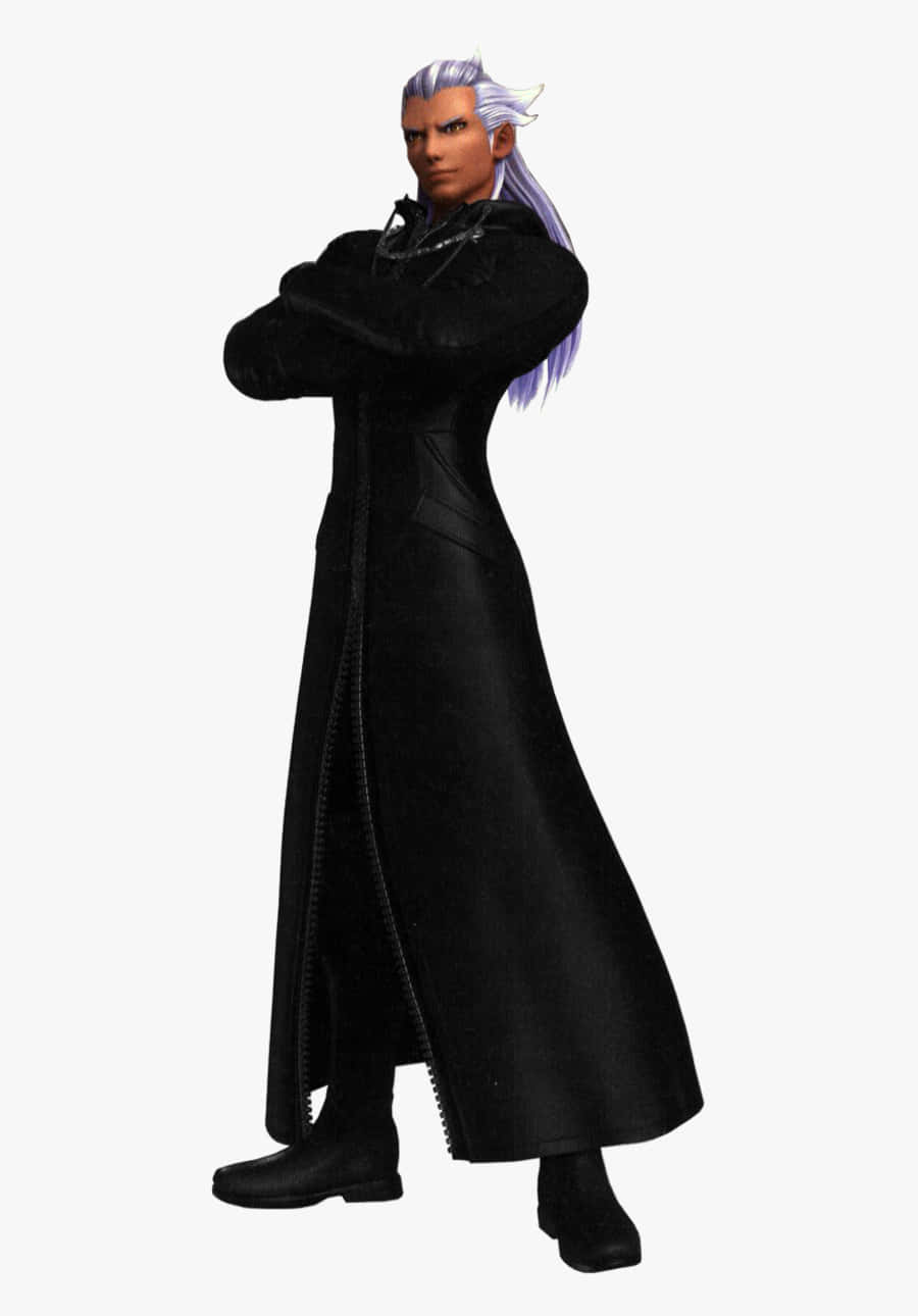 Ansem Seeker Of Darkness 桌布 壁紙 — 一個嚴肅的動漫角色，銀色頭髮，身穿黑色長外套，雙臂交叉，站在純色背景前。