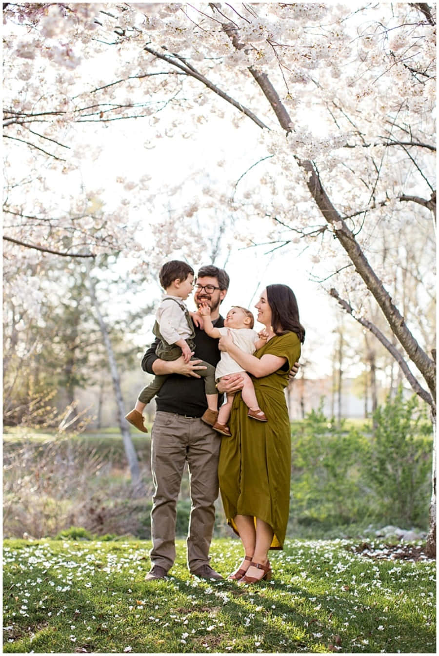 Spring Family 桌布 壁紙 — 一個四口之家在陽光明媚的春日，於盛開的櫻花樹下分享溫馨時刻。