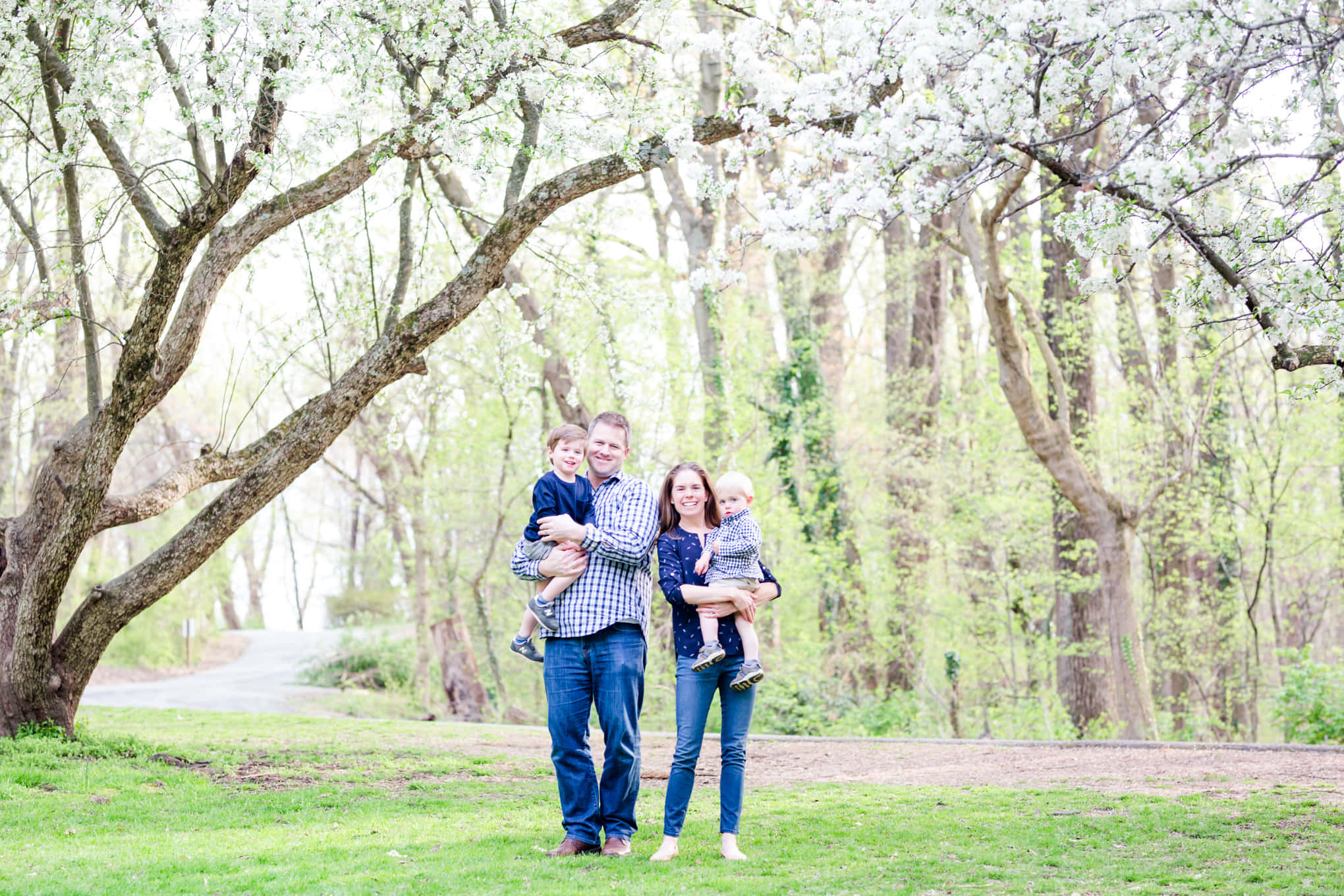 Spring Family 桌布 壁紙 — 一個四口之家微笑著站在盛開的白色櫻花樹下，在明媚的春日裡。