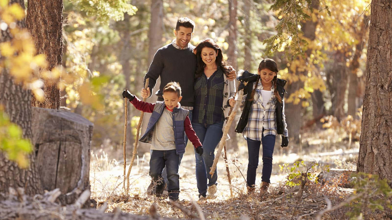 Fall Family 桌布 壁紙 — 一個四口之家面帶微笑，在陽光明媚的秋日森林中散步，手持樹枝，一起歡笑。