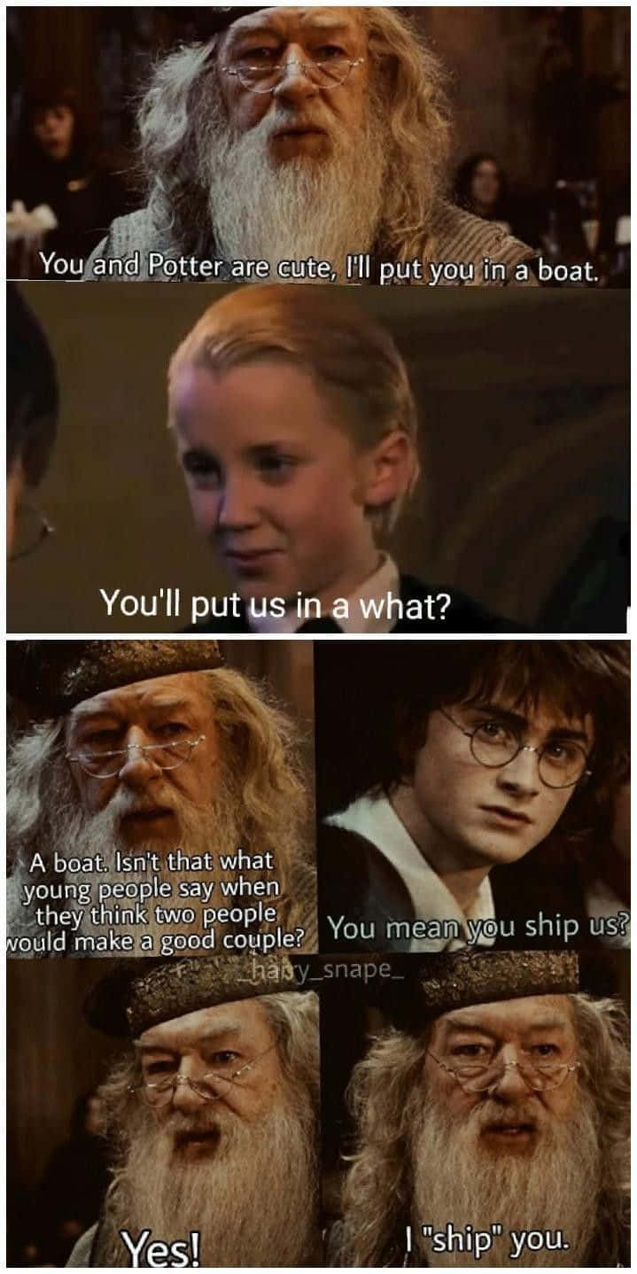 Funny Harry Potter 桌布 壁紙 — 一個四格迷因，鄧不利多和哈利波特對哈利與妙麗的配對笑話作出反應。