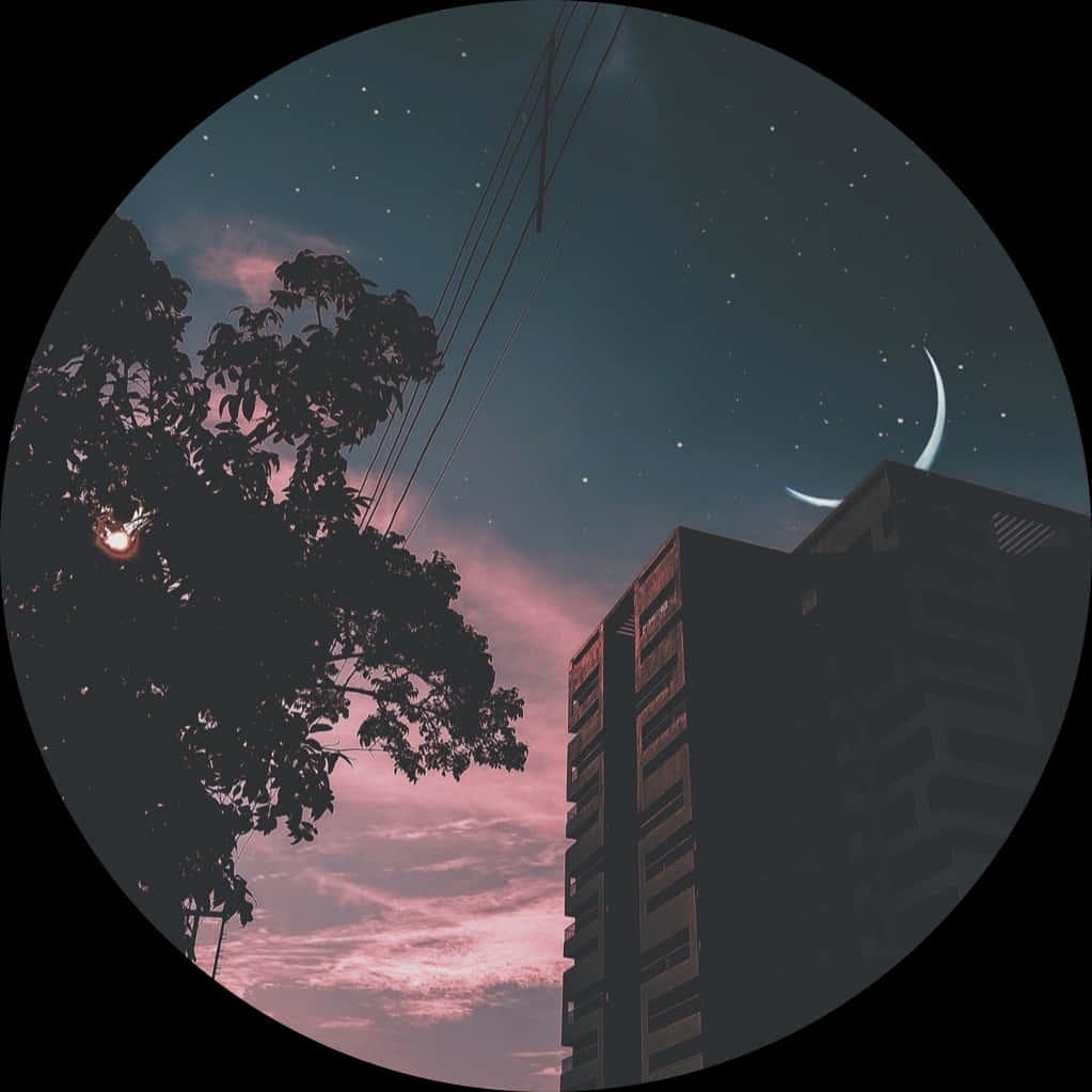 新月 桌布 壁紙 — 一個圓形夜空景觀，顯示新月、星星和粉紅色的雲朵，被樹木剪影和建築物框住，背景為深色。