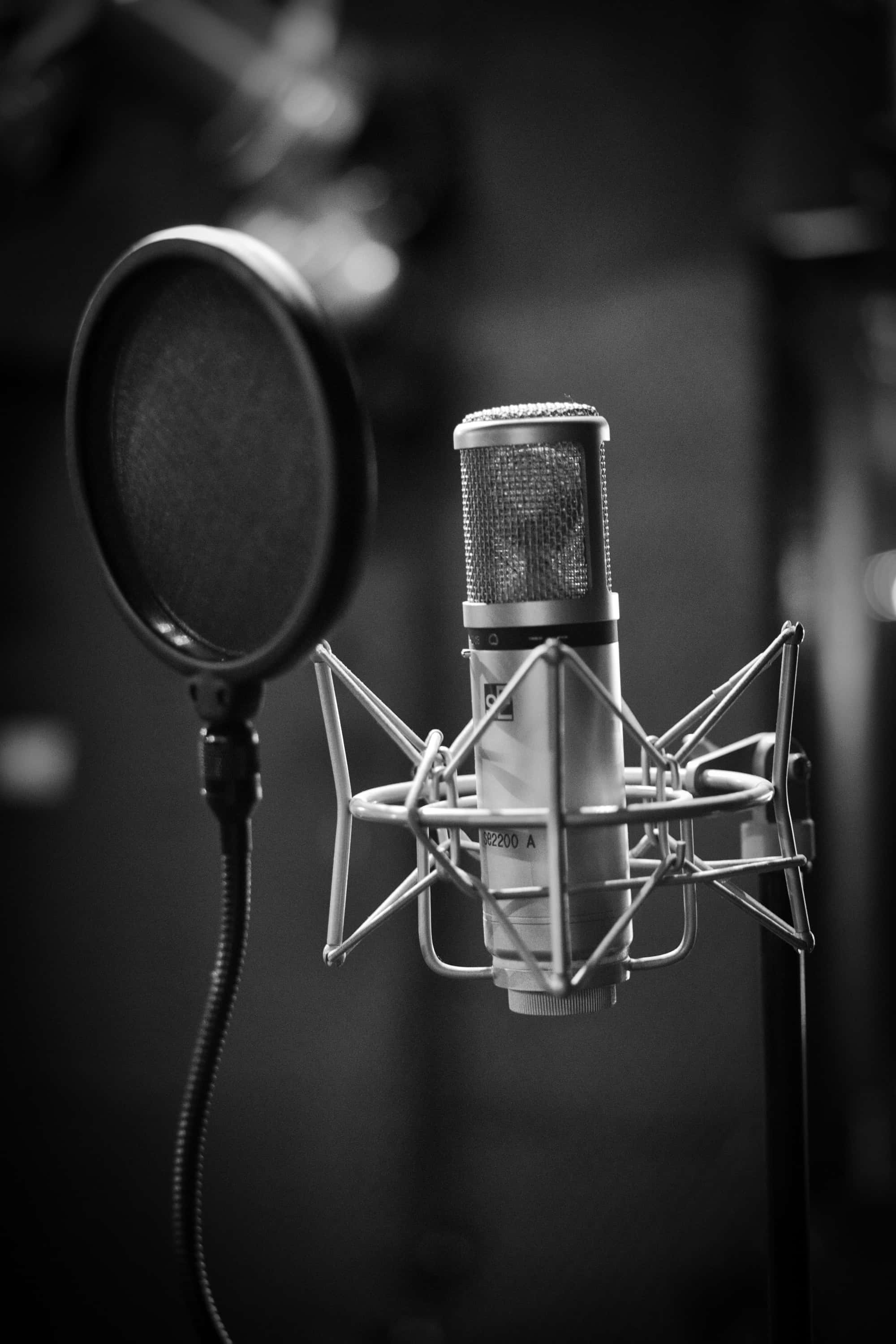 Recorder 桌布 壁紙 — 一個在昏暗錄音室中，帶有防噴罩的專業錄音室麥克風的黑白特寫。