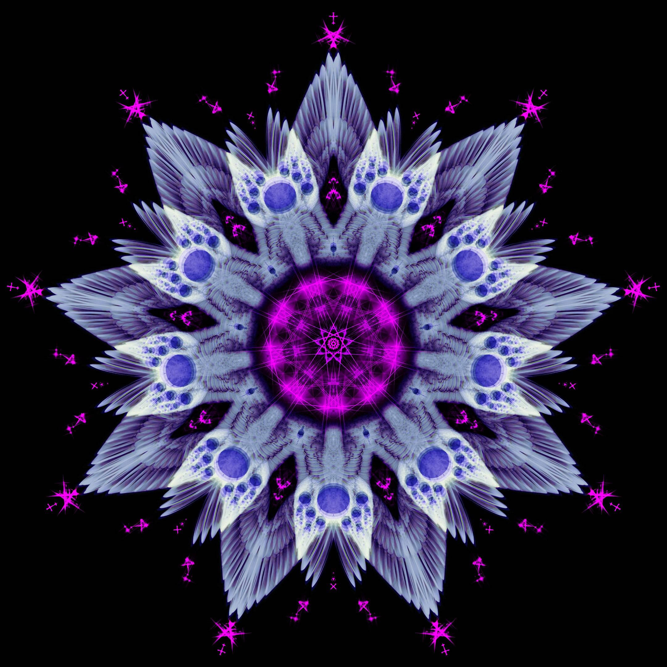 曼陀羅 桌布 壁紙 — 一個在黑色背景上帶有羽毛花瓣和發光星星的絢麗紫色和藍色碎形曼陀羅。