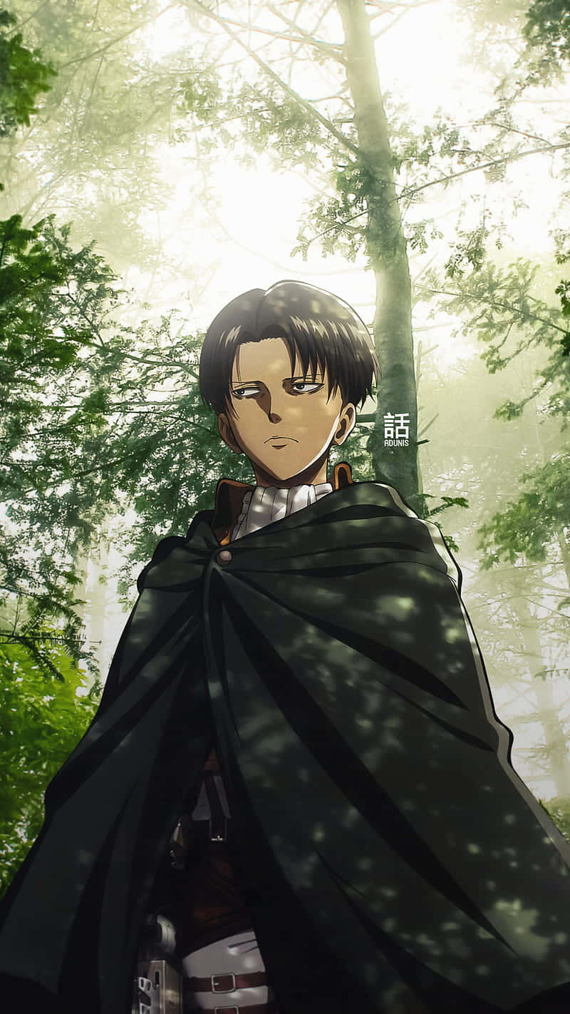 動漫 桌布 壁紙 — 一個堅定的動漫角色身穿黑色斗篷，站在陽光普照的森林中，斑駁的光線穿過高大的樹木。