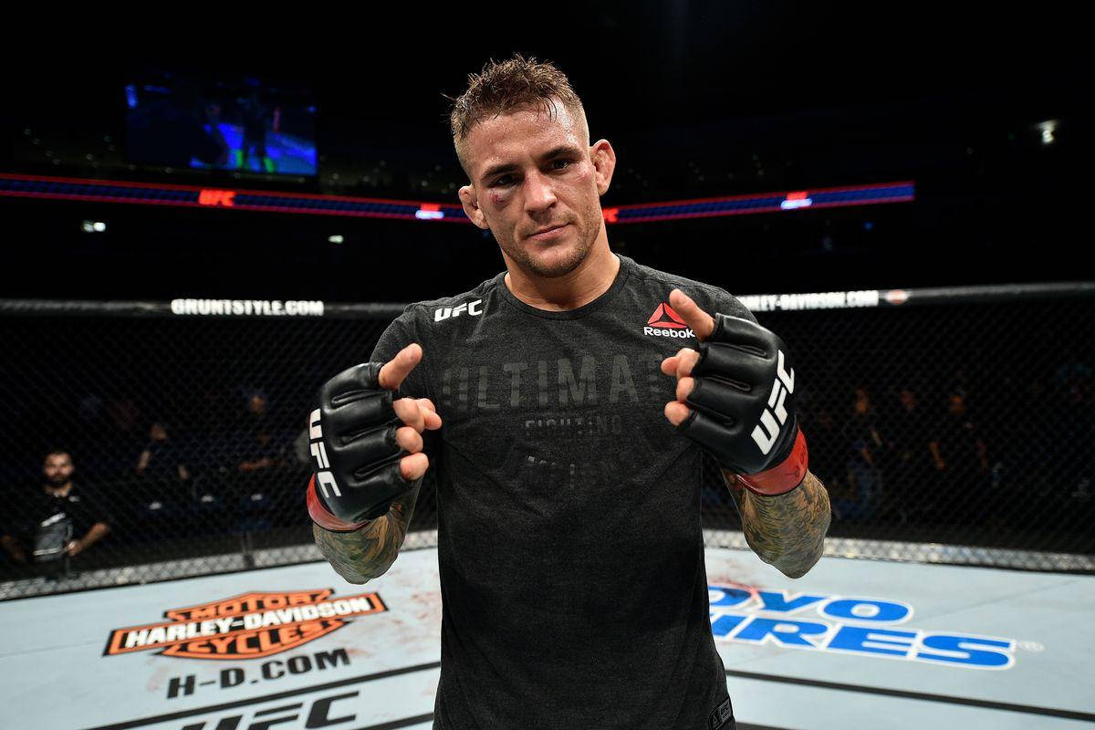 UFC 桌布 壁紙 — 一個堅定的混合武術家，戴著黑色手套和穿著黑色襯衫，站在UFC八角籠內，籠上有贊助商標誌，場館燈光照射。