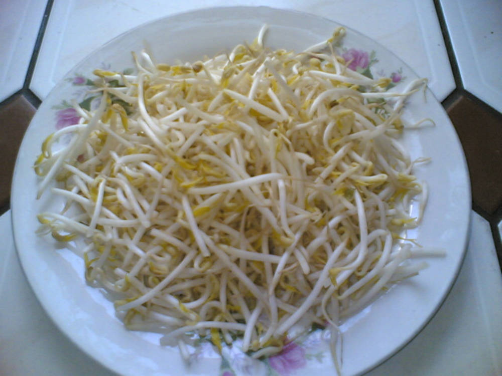 beans 桌布 壁紙 — 一個堆滿新鮮白色和黃色豆芽的盤子，放在瓷磚表面上的花卉盤子上。