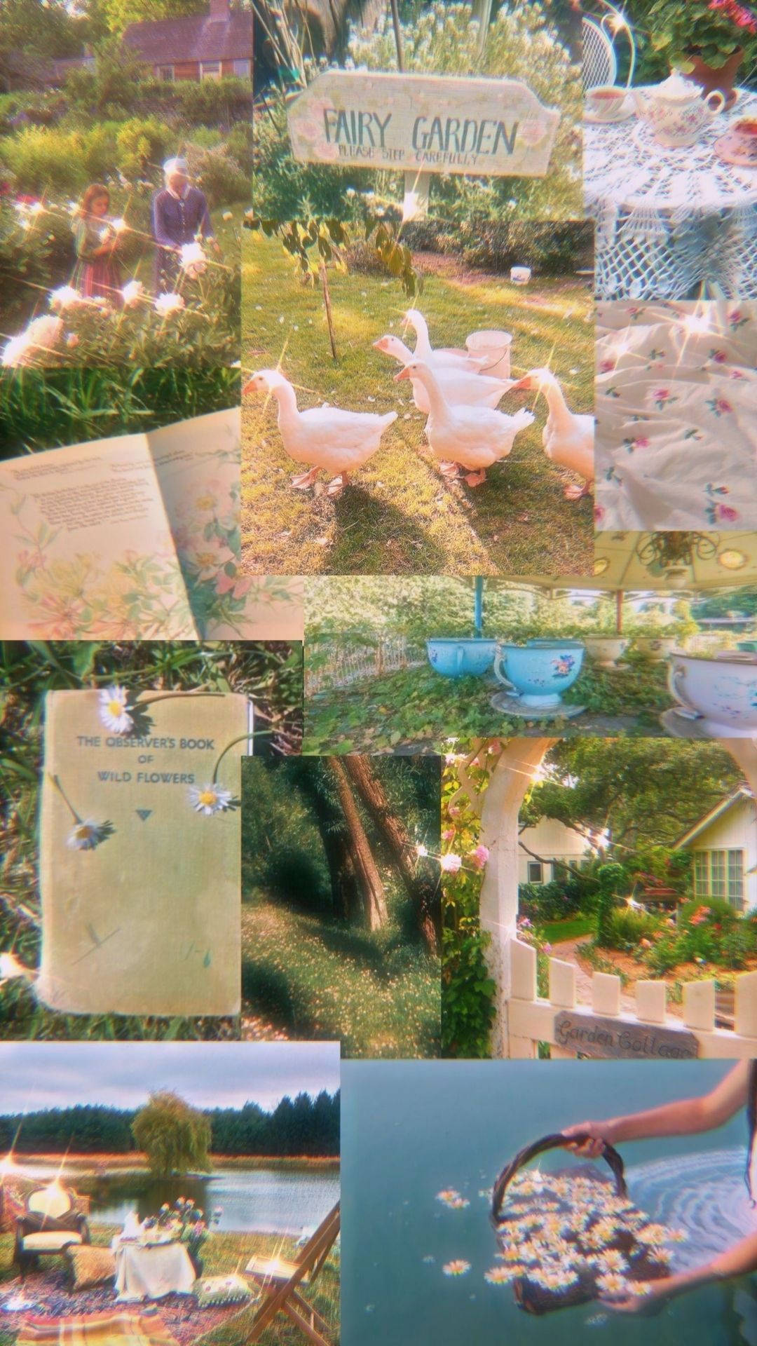 仙女美學 桌布 壁紙 — 一個夢幻的花園場景拼貼畫，有白天鵝、燈串、復古書籍和仙女花園裝飾，沐浴在柔和的金色陽光中。