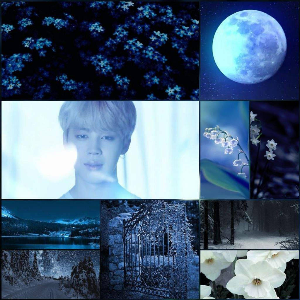 BTS 美學 桌布 壁紙 — 一個夢幻的藍調拼貼畫， featuring 月光花、雪花、一個人、雪景和閃爍的月亮，襯托著星空夜空。