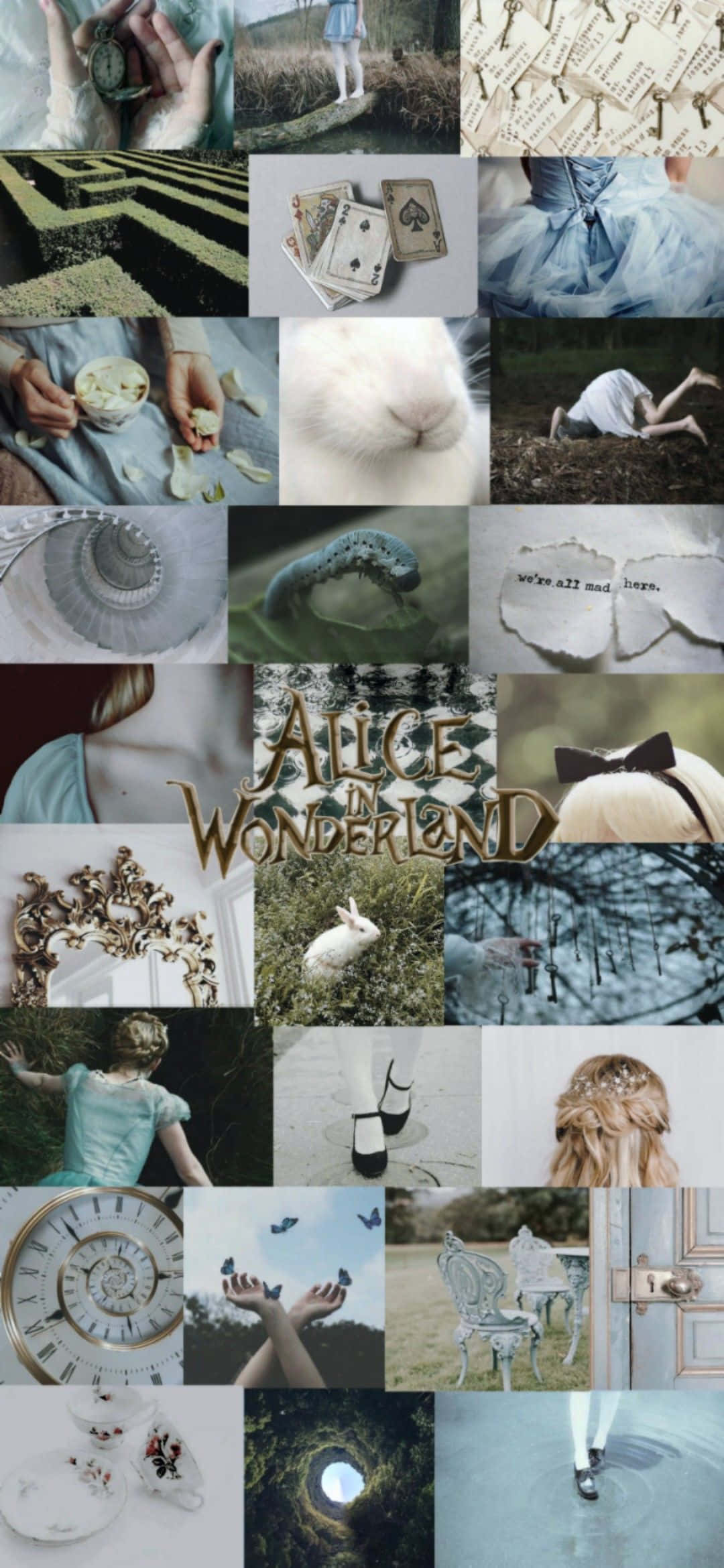 Alice Wonderland Aesthetic 桌布 壁紙 — 一個夢幻般的愛麗絲夢遊仙境圖像拼貼，包含白兔、撲克牌、藍色連衣裙和超現實的森林場景。