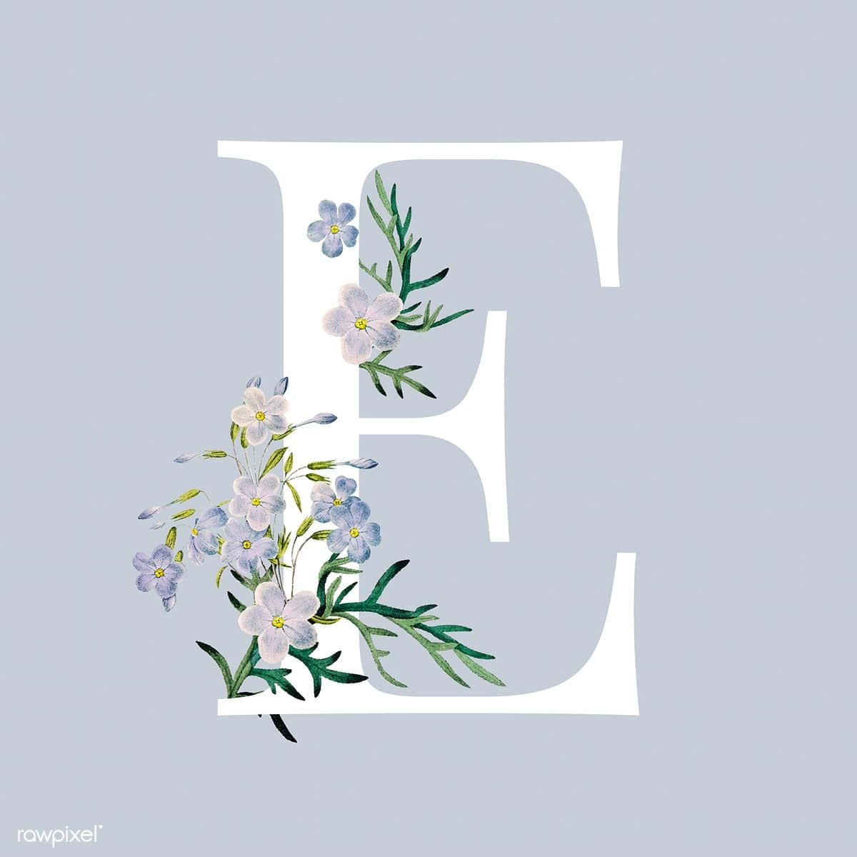 E 桌布 壁紙 — 一個大型白色字母E，飾以精緻的藍白色花朵和綠色葉子，背景為柔和灰色。