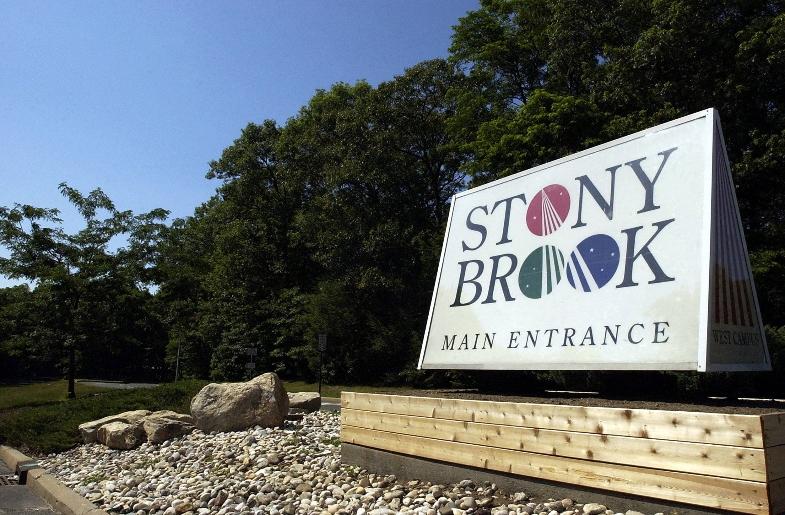 學校 桌布 壁紙 — 一個大型白色標牌，上面寫著「STONY BROOK MAIN ENTRANCE」，矗立在碎石入口處，兩旁有木板和茂密的綠樹，在晴朗的藍天下。